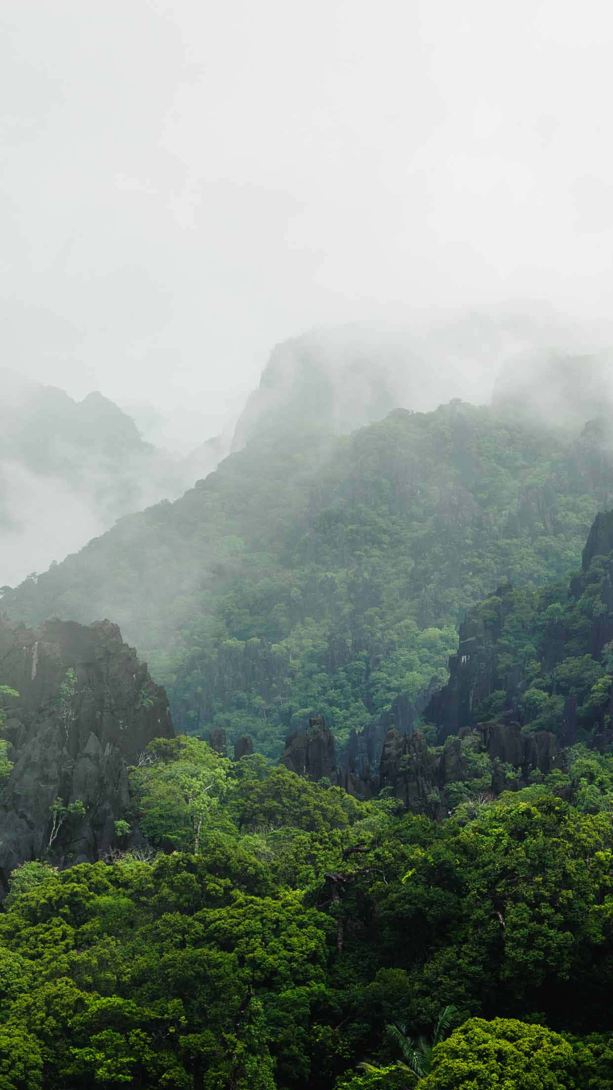 misty mountains, dense emerald forests, soft overcast sky, Full HD Phone Wallpaper
