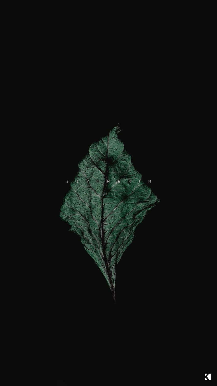 olive green, green leaf, black background, HD Phone Wallpaper