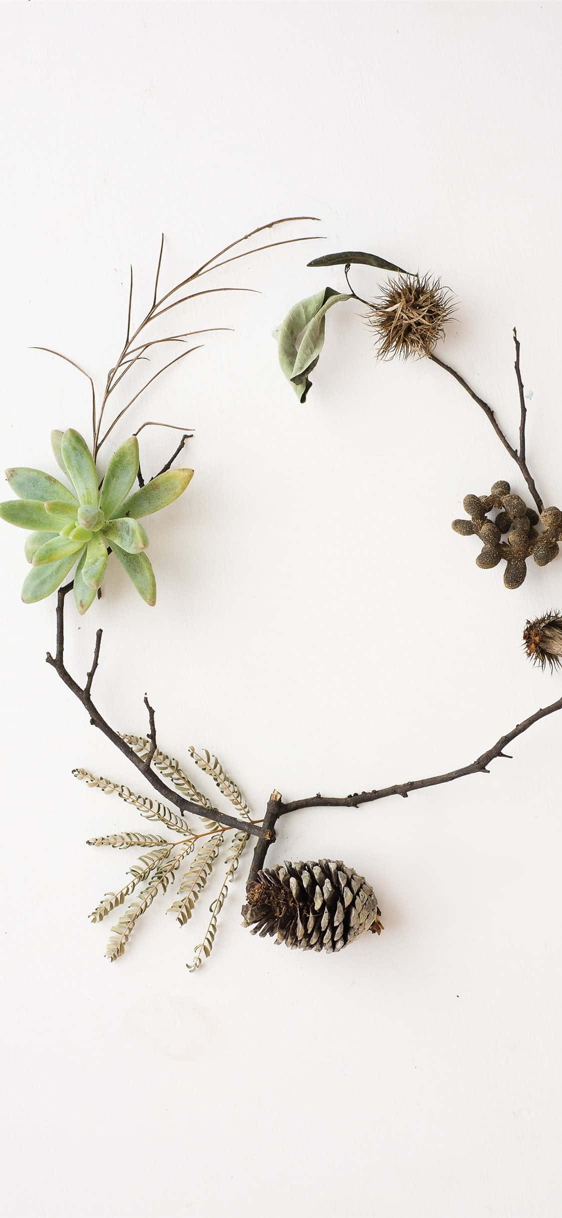 succulent, circular wreath, twigs, Full HD Phone Wallpaper