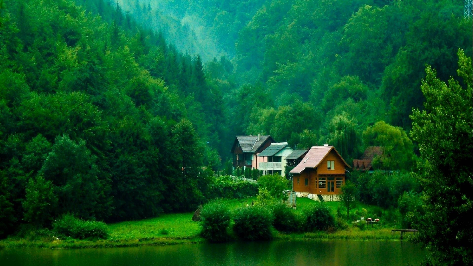 wooden cabin, calm lake, dense emerald forests, Full HD Desktop Wallpaper