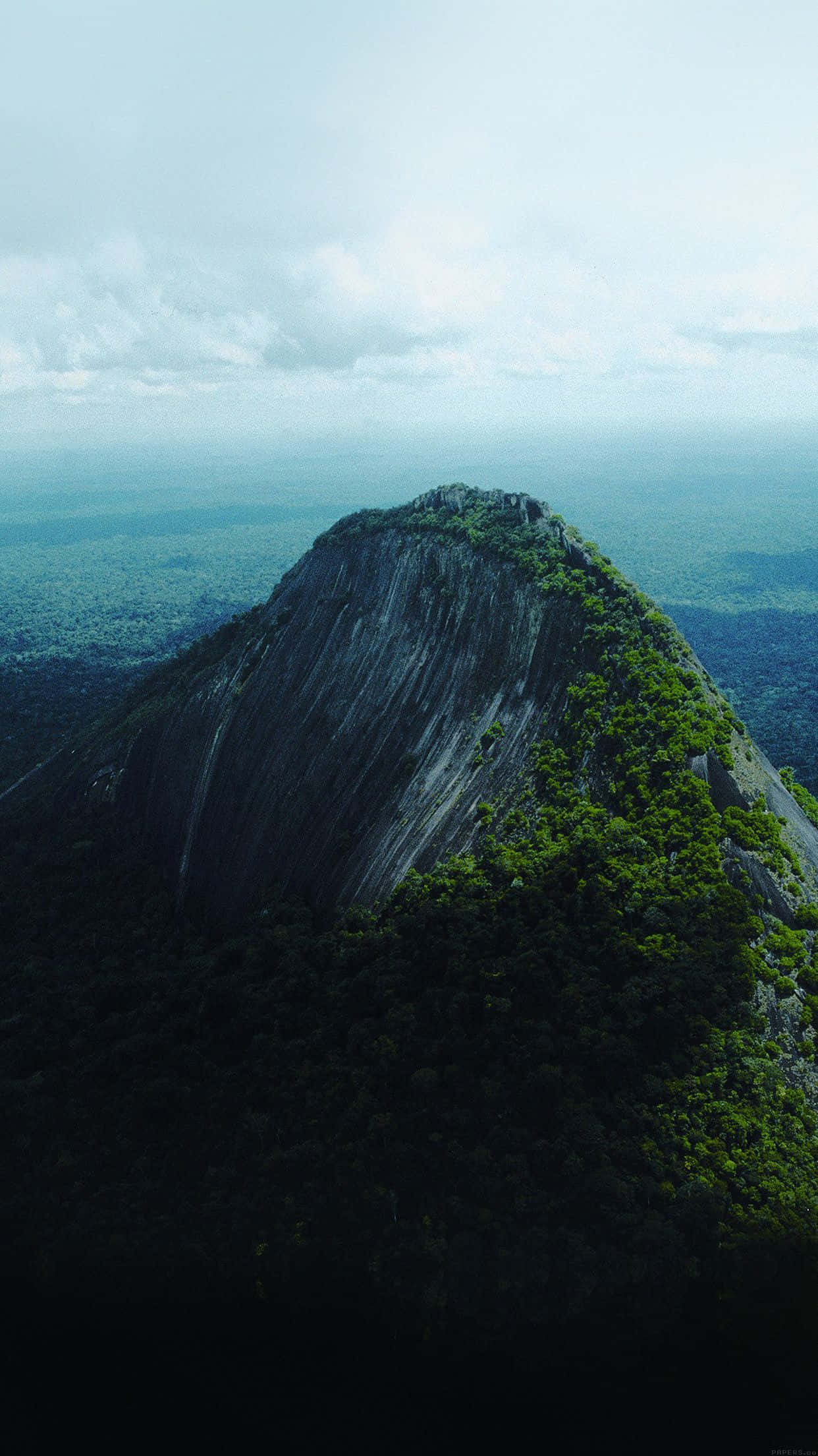 Green Mountain Nature, striped rock mountain, dense green forest, Full HD Phone Wallpaper