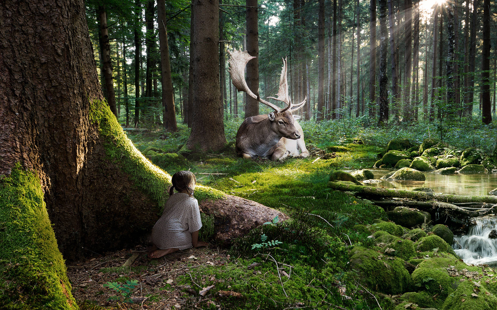 enchanted forest, mossy tree, majestic deer, Full HD Desktop Wallpaper