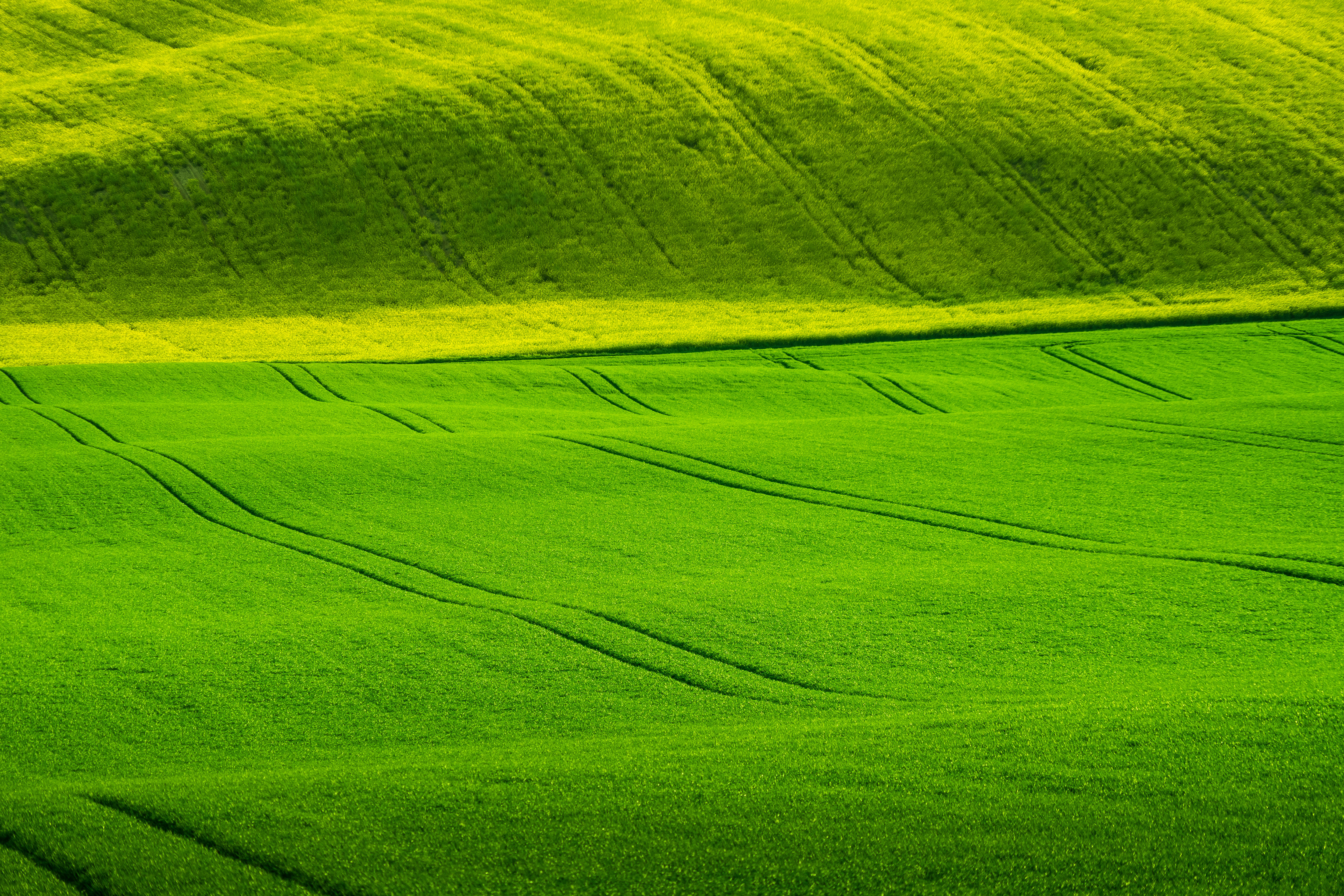 vast green nature fields, vibrant green rolling hills, winding tractor tracks, 4K Desktop Wallpaper