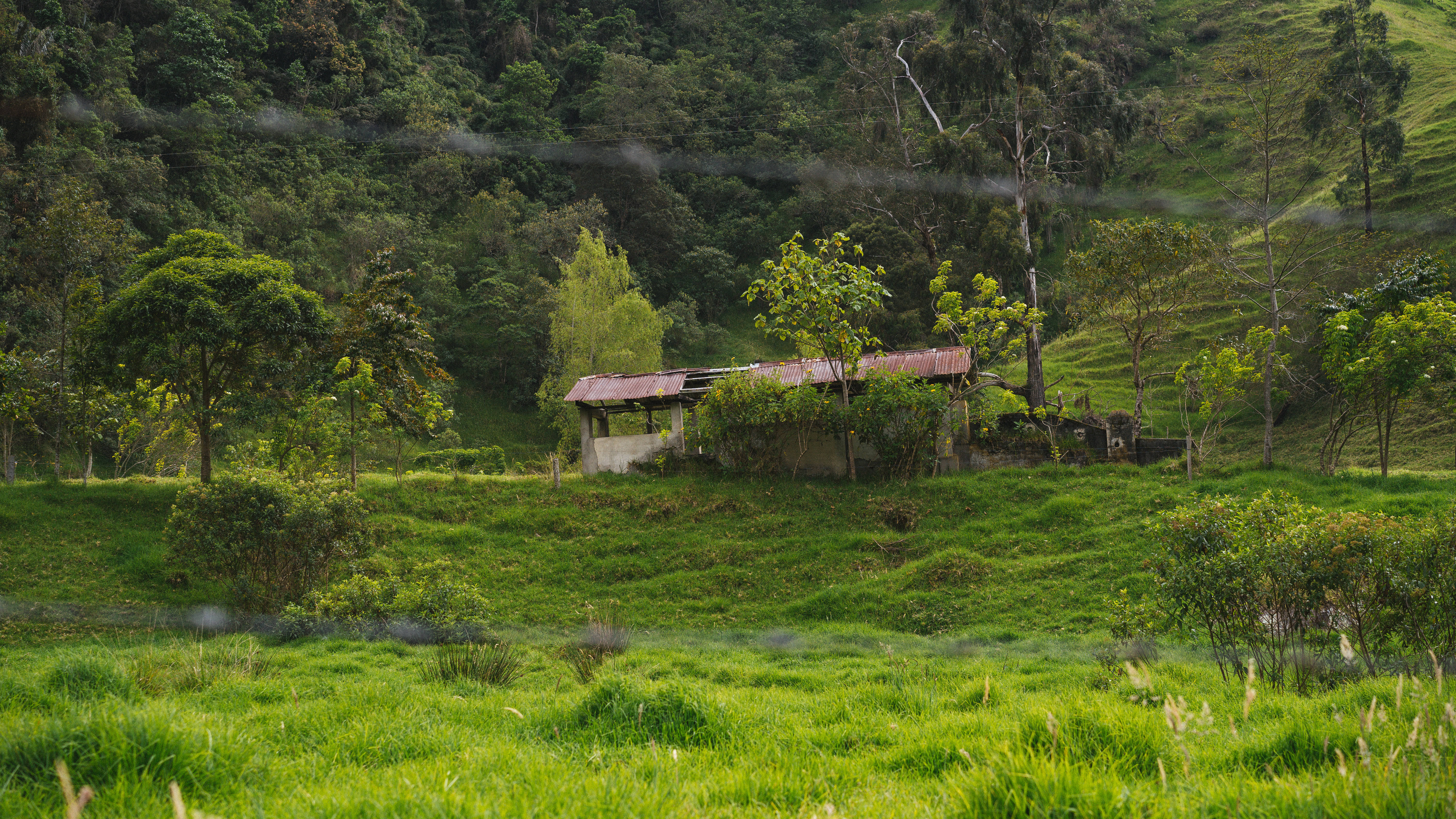 rustic wooden cabin, lush green valley, misty hills, 5K Desktop Wallpaper