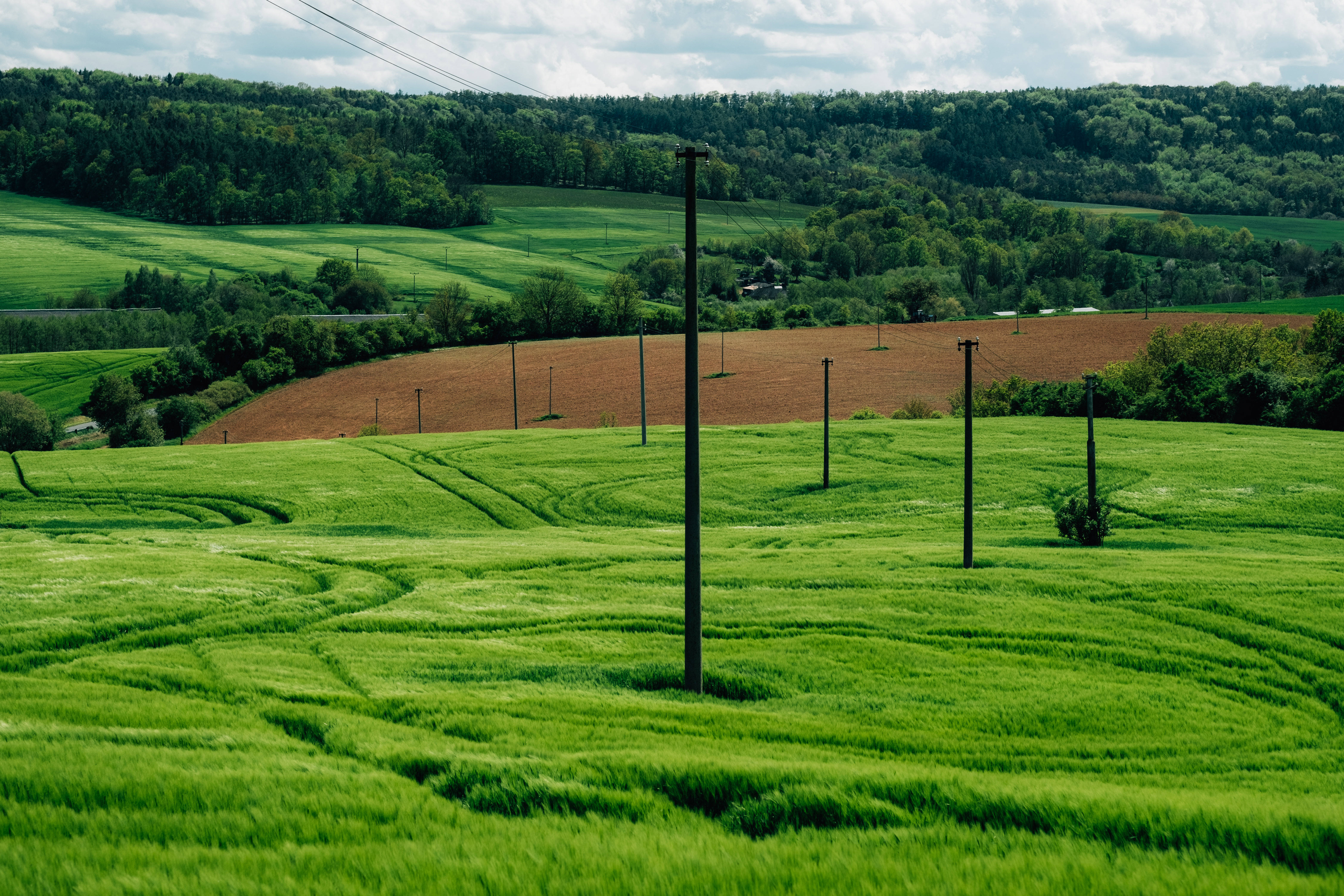 Green Nature, power lines, rolling green fields, 5K Desktop Wallpaper