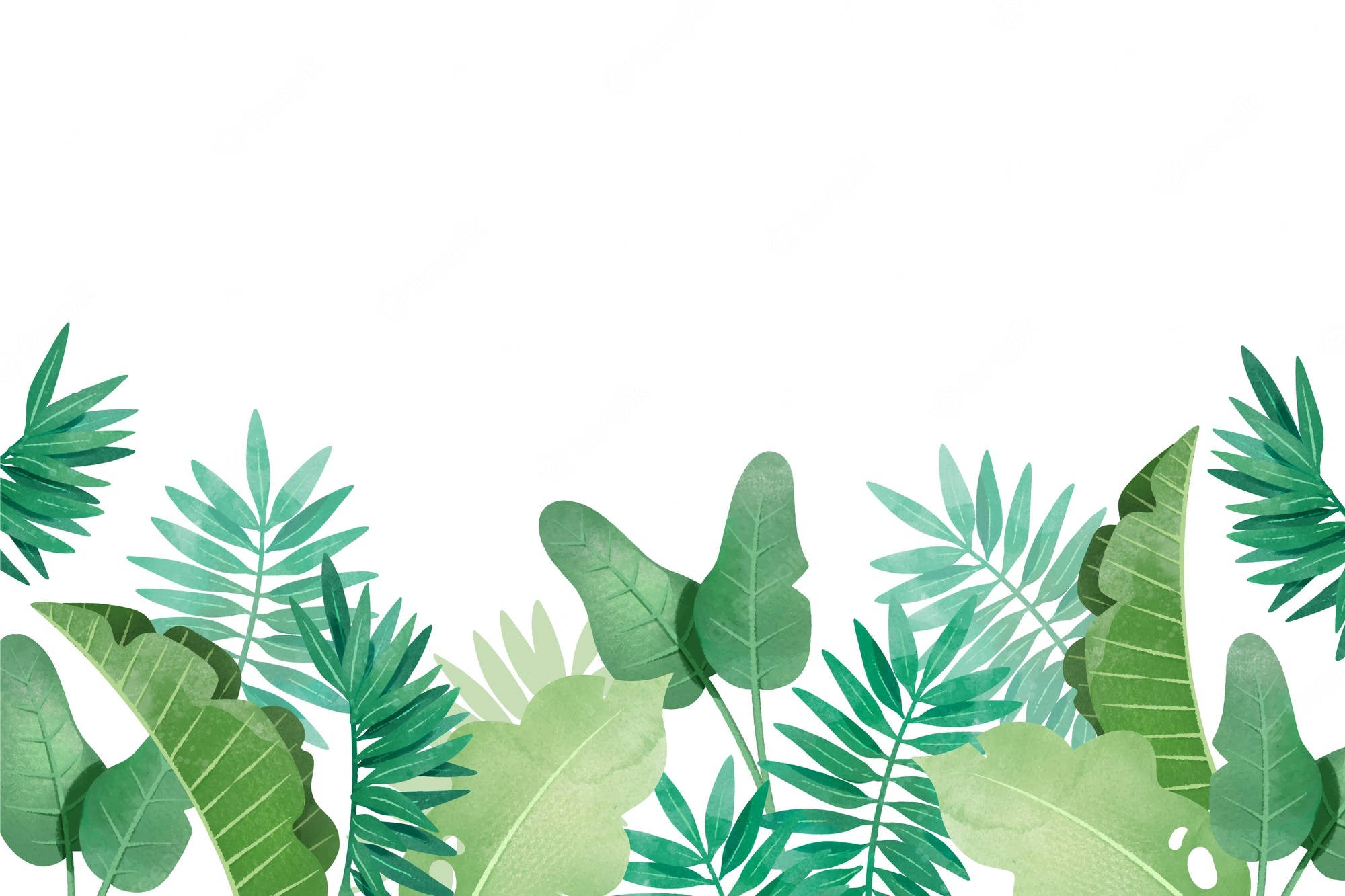 tropical plants, tropical leaves, vibrant green, Full HD Desktop Wallpaper