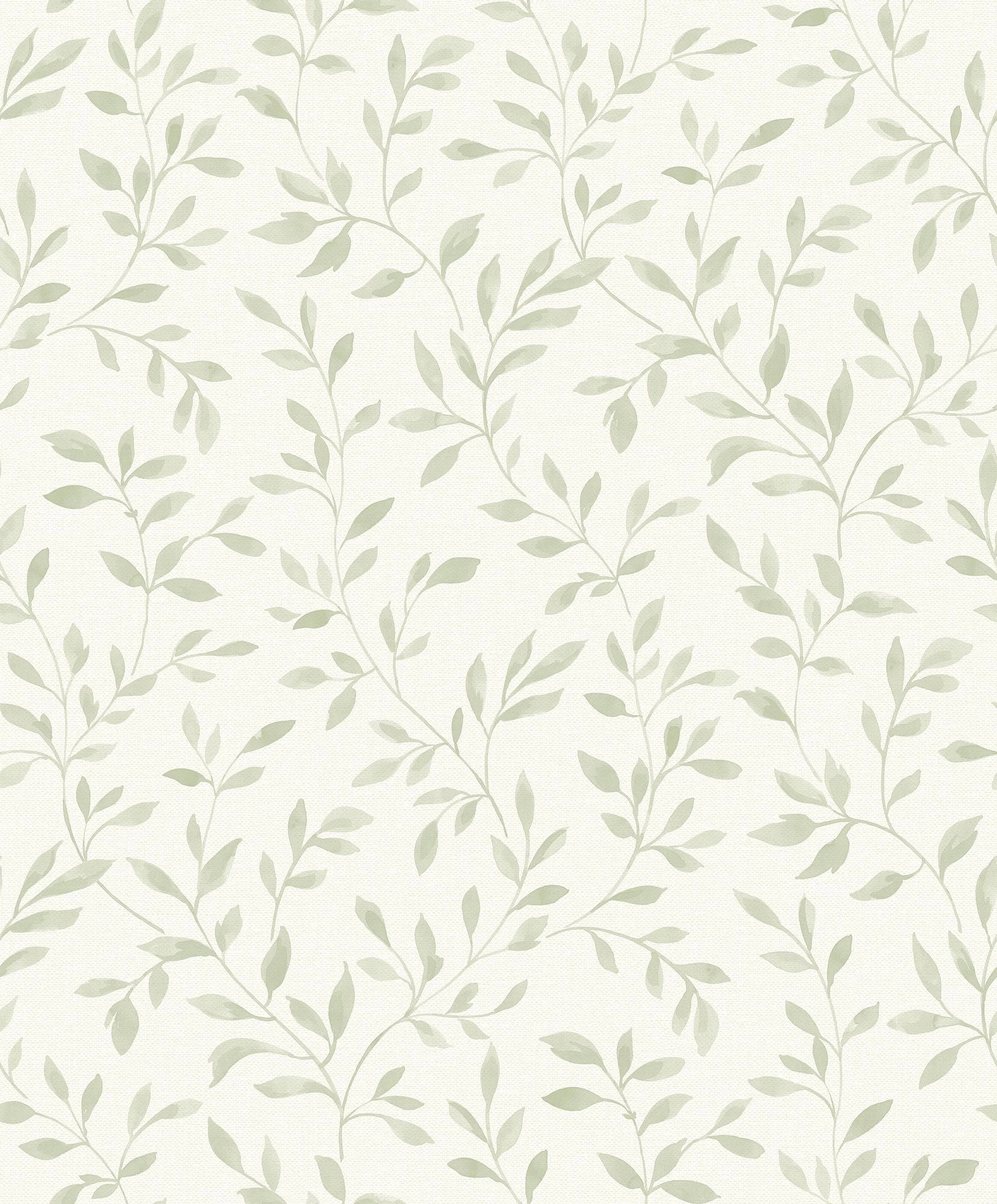 sage green, vines, leaves, Full HD Phone Wallpaper