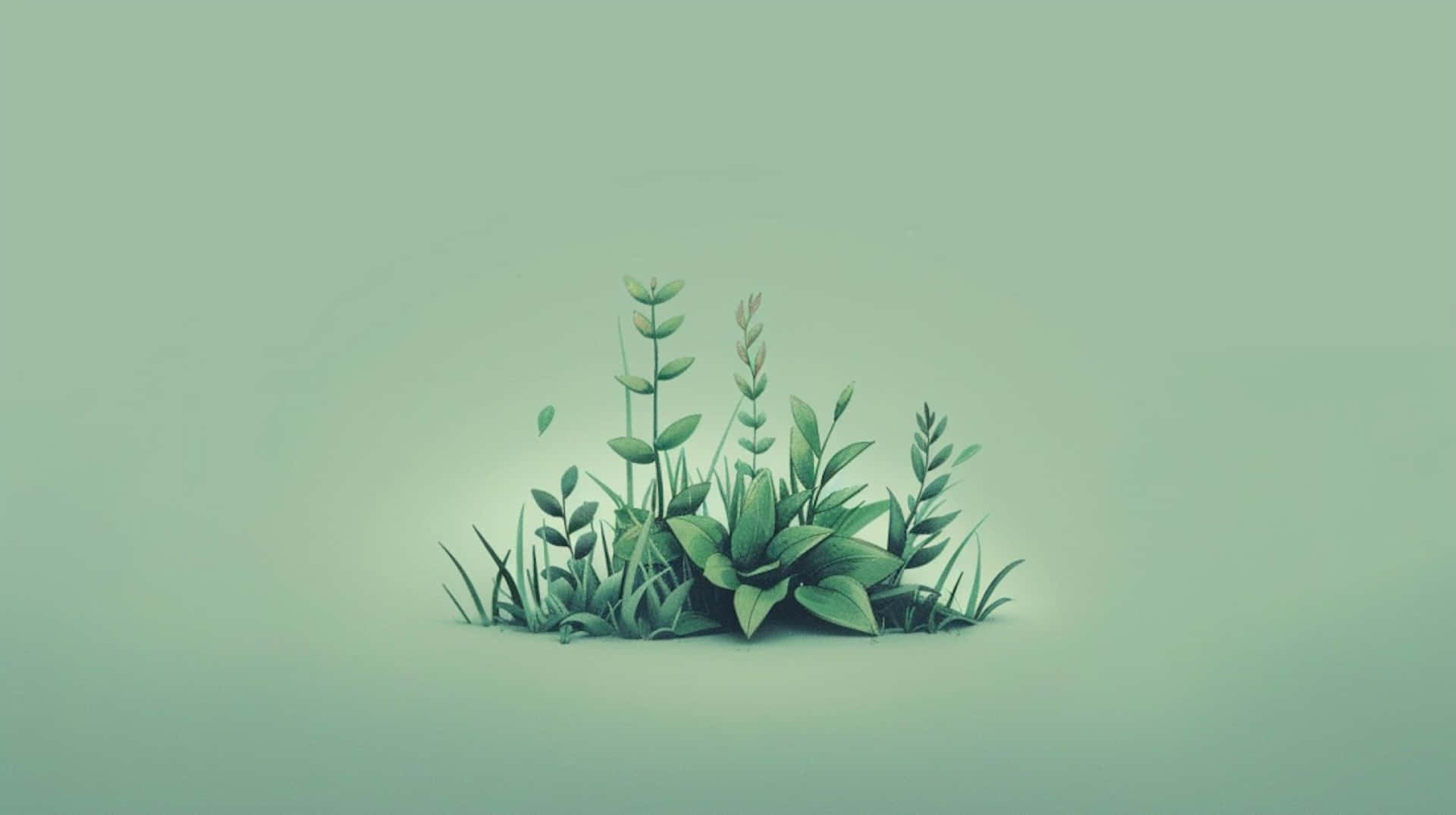 muted mint green gradient background, varied green plants, serrated leaves, Full HD Desktop Wallpaper