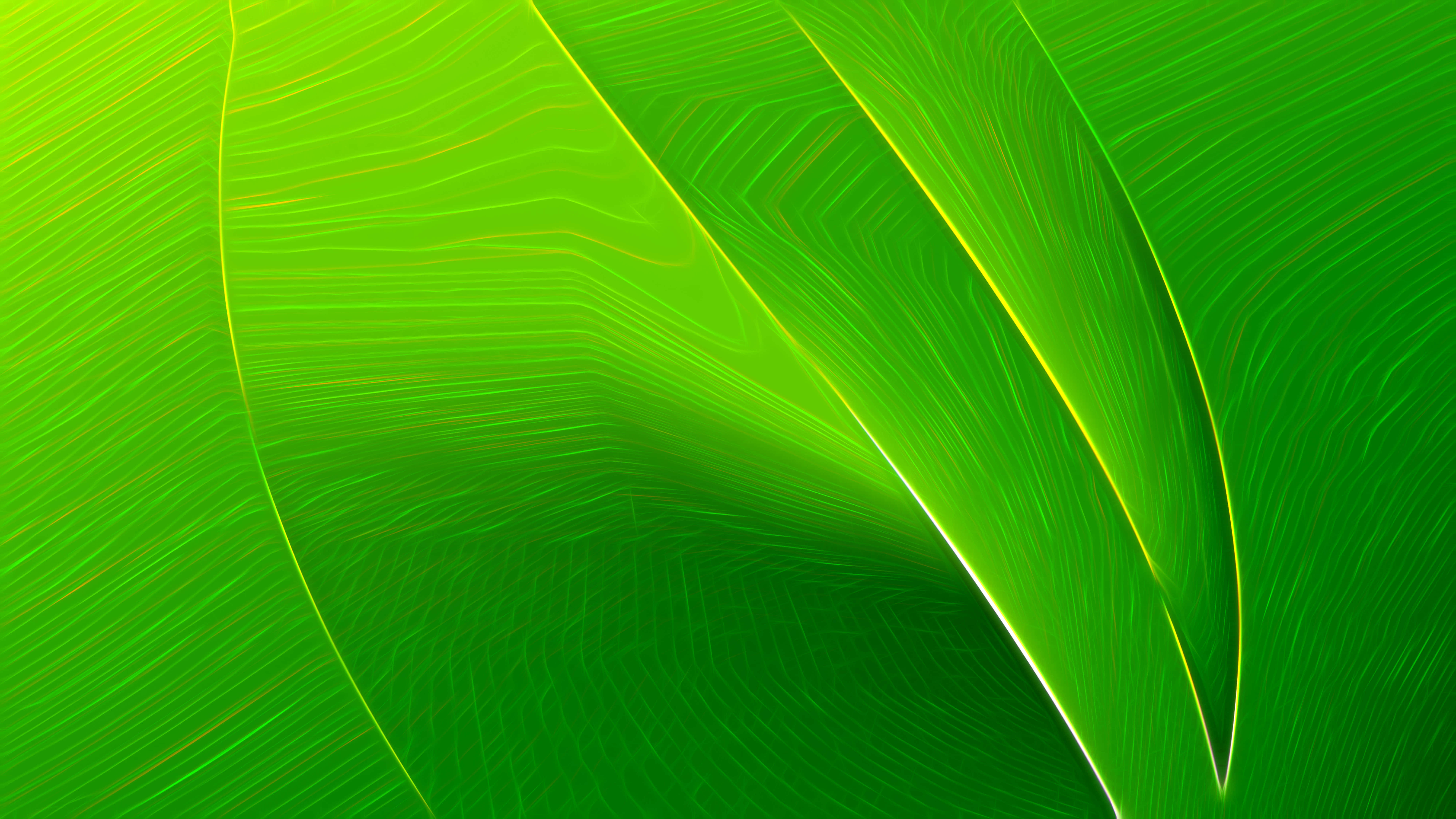 green texture, 8000 x 4500 wallpaper, vibrant green, 8K Desktop Wallpaper