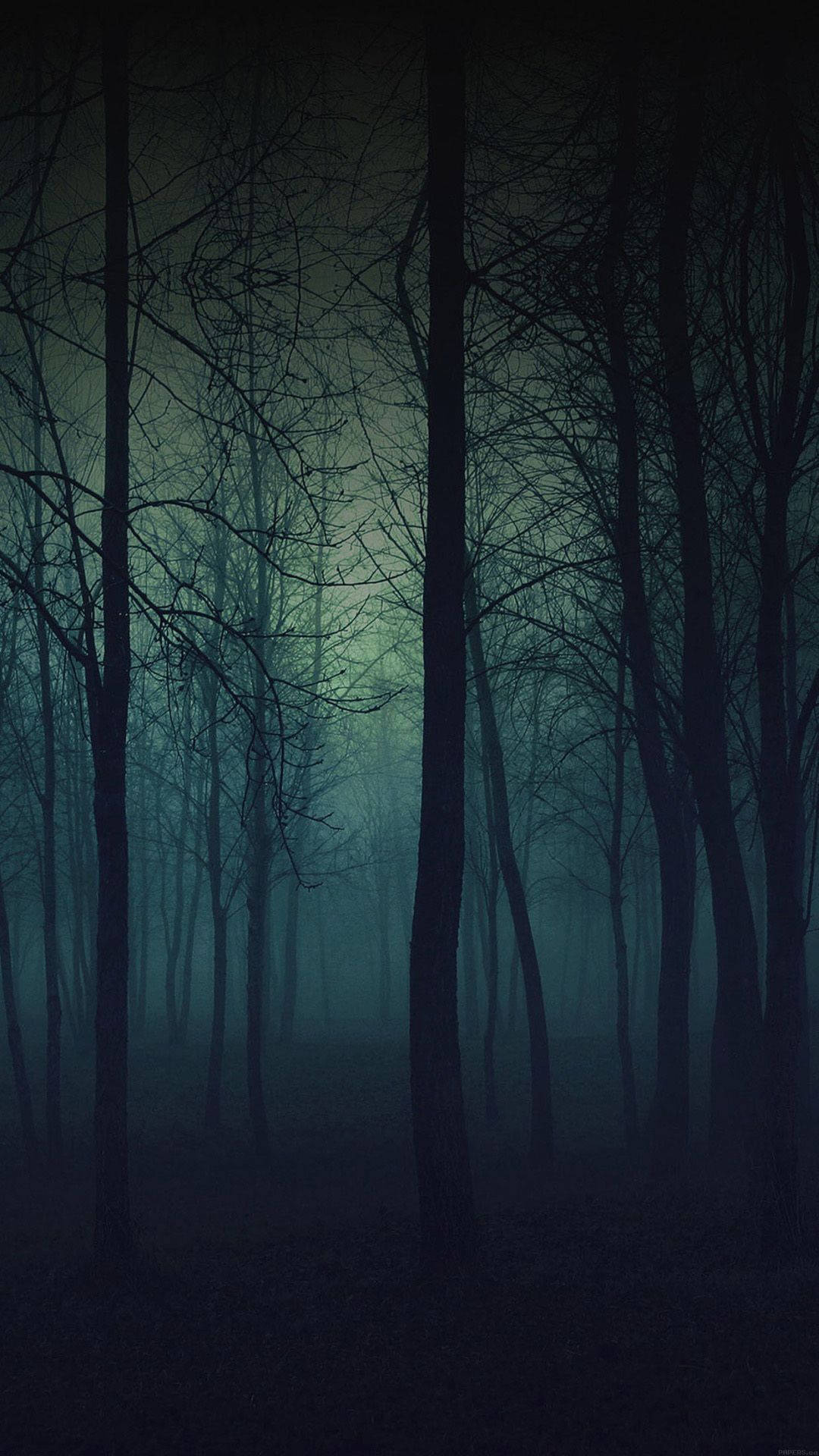 Dark Green Forest Phone, misty forest, night, Full HD Phone Wallpaper