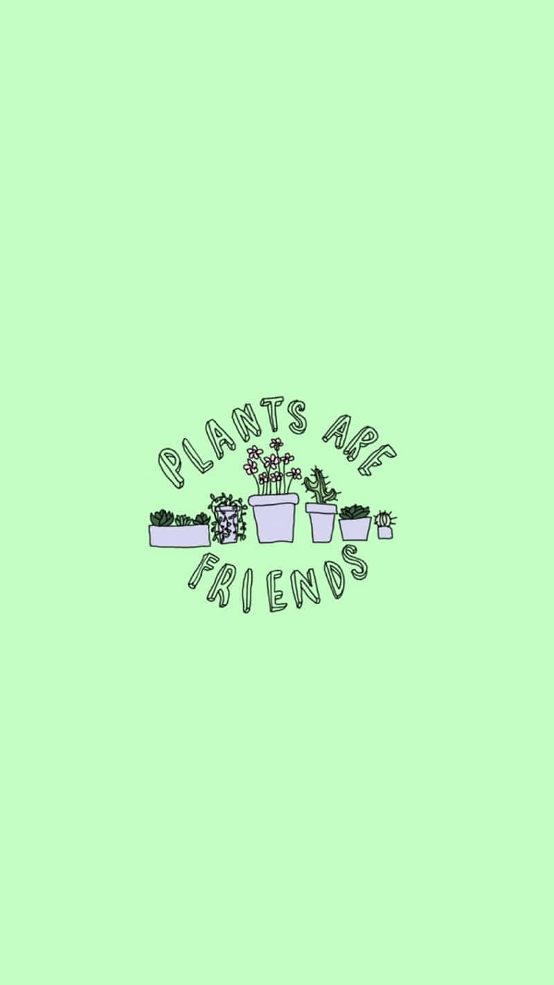 PLANTS ARE FRIENDS, mint green, minimalist illustration, HD Phone Wallpaper