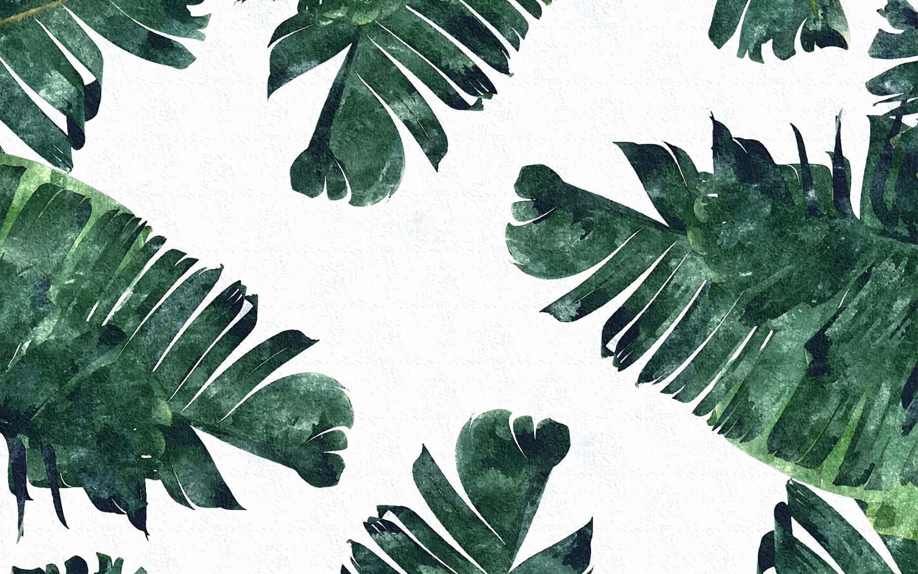 green plant aesthetic, vibrant green tropical leaves, watercolor texture, HD Desktop Wallpaper