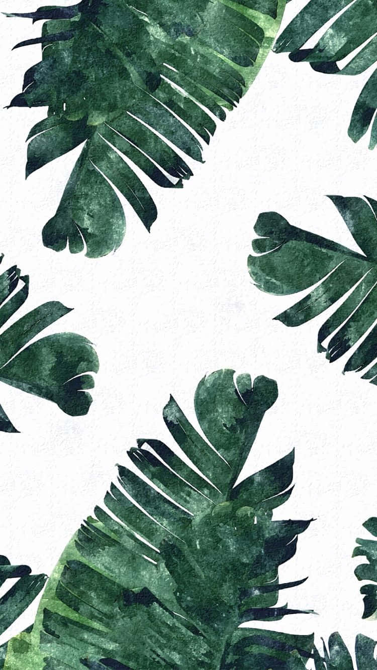 monstera, deep green, watercolor wash, HD Phone Wallpaper