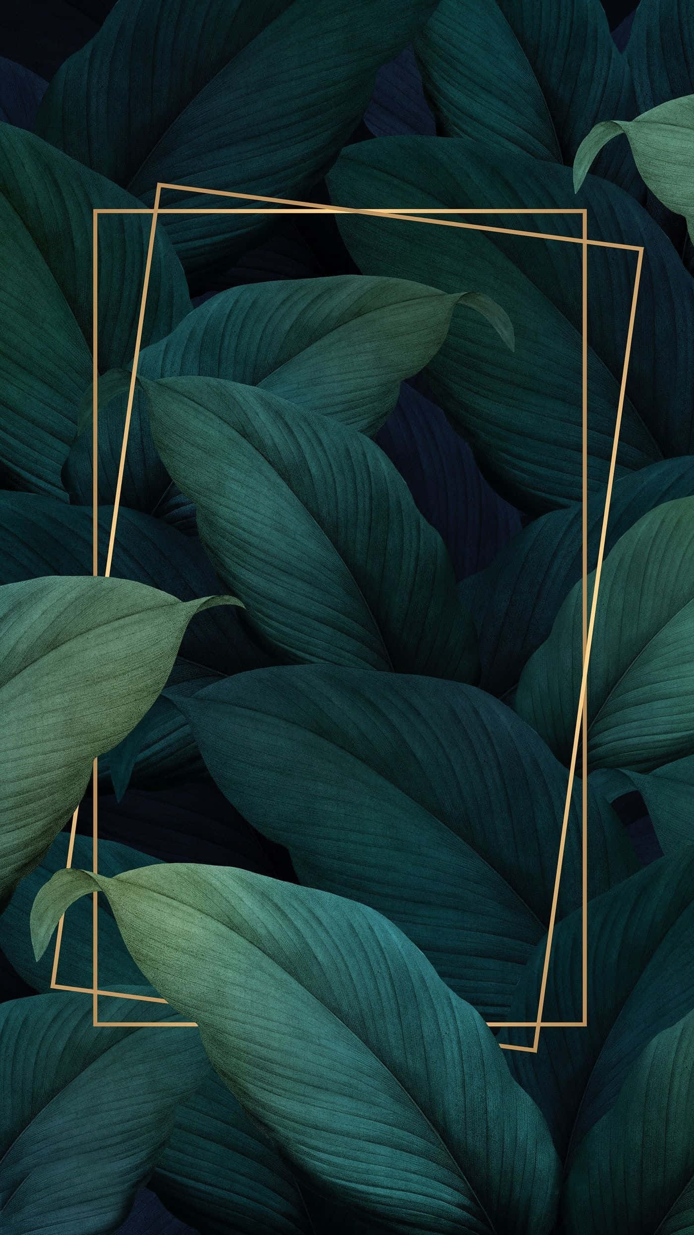 golden geometric frame, deep green tropical leaves, dense pattern, Full HD Phone Wallpaper
