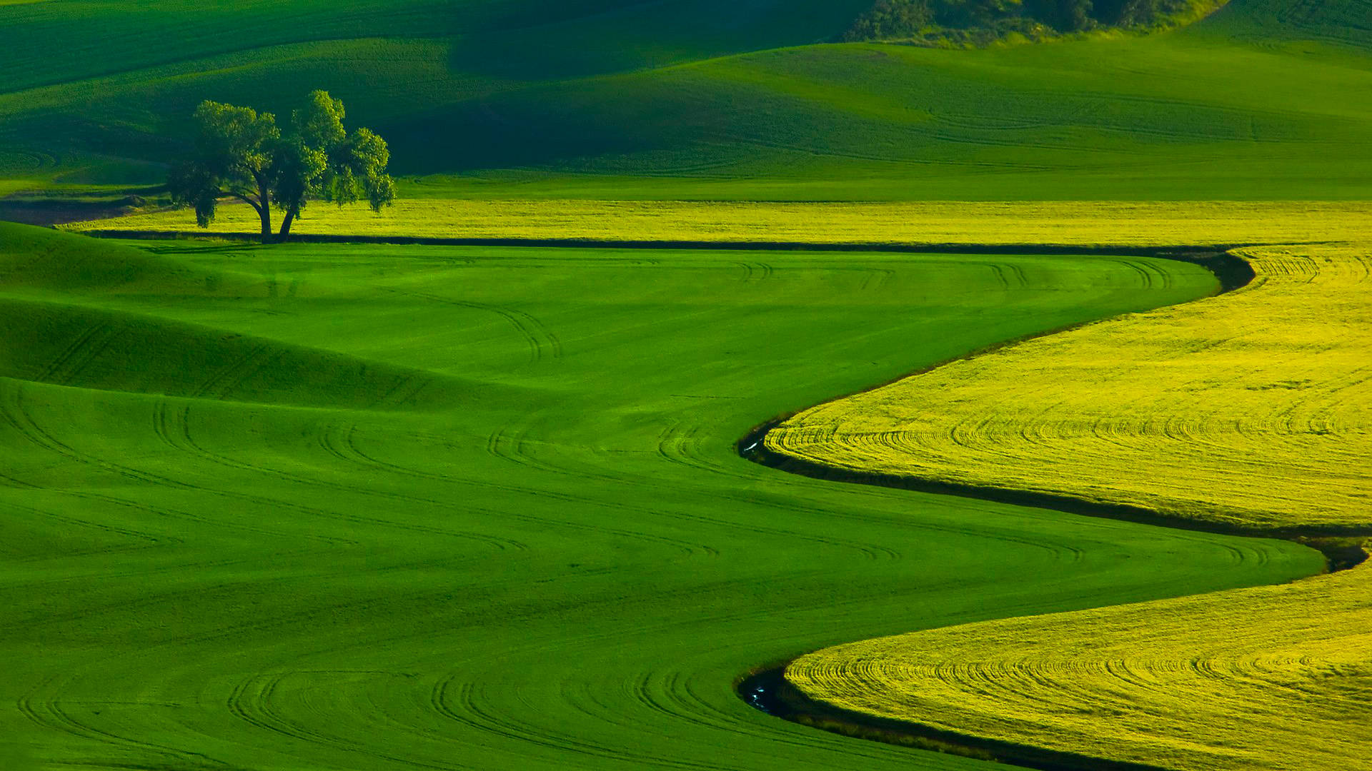 Agriculture Green Field, sunlit green hillside, winding river, Full HD Desktop Wallpaper