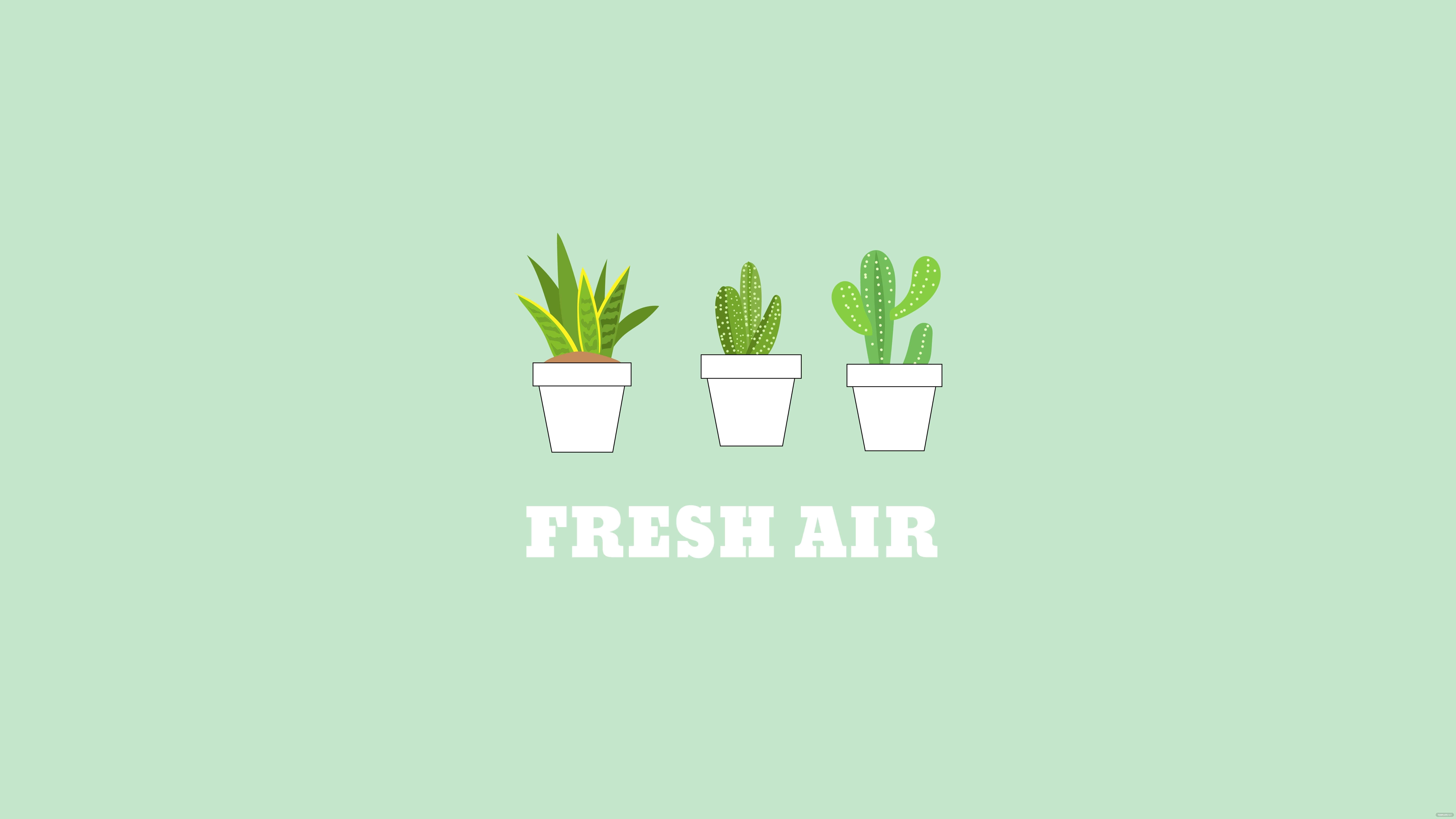 mint green background, bold white text, fresh air, 8K Desktop Wallpaper