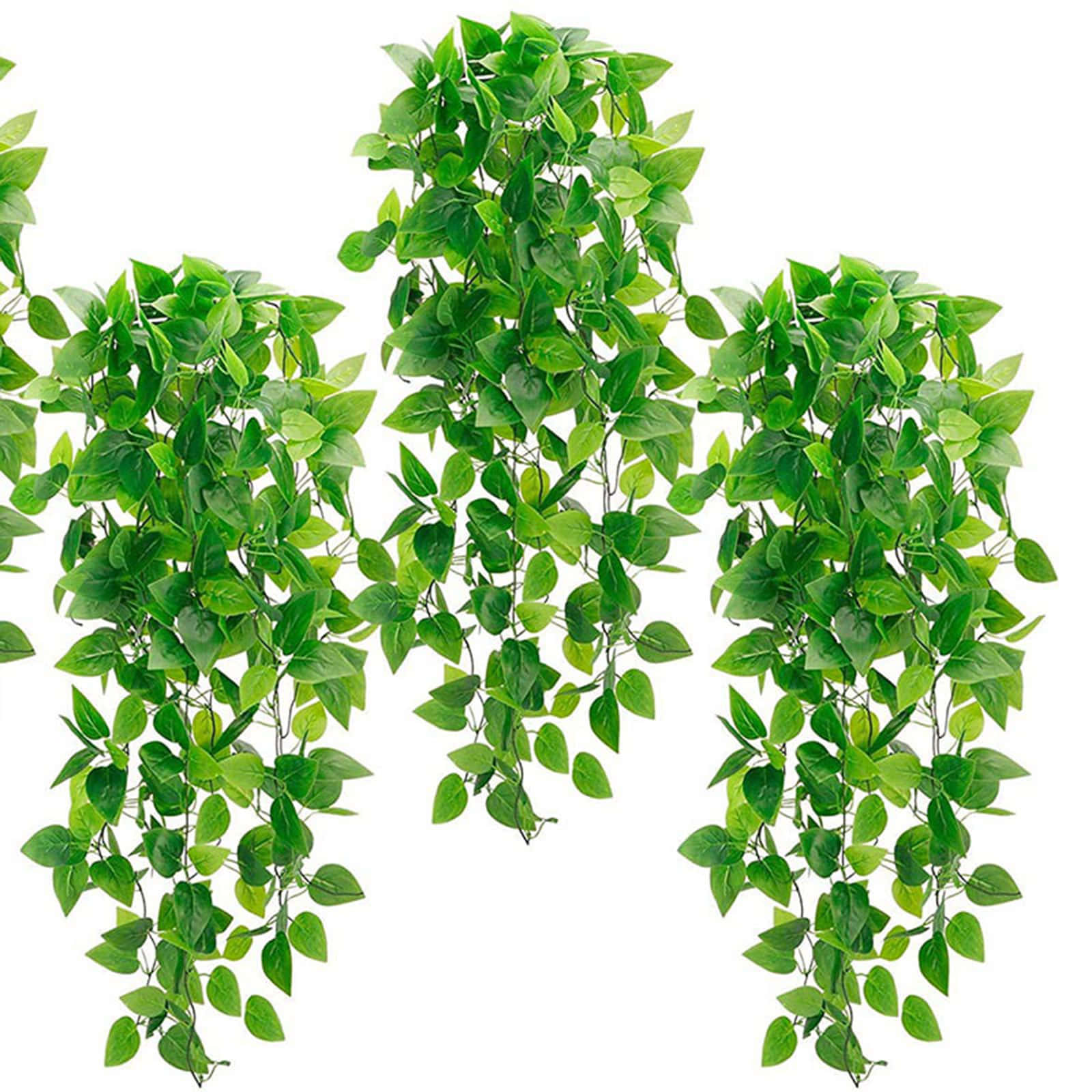 green plant, artificial ivy vines, lush, HD Desktop Wallpaper