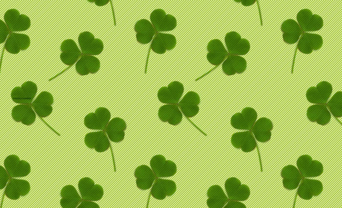 shamrock, clover, light green, HD Desktop Wallpaper