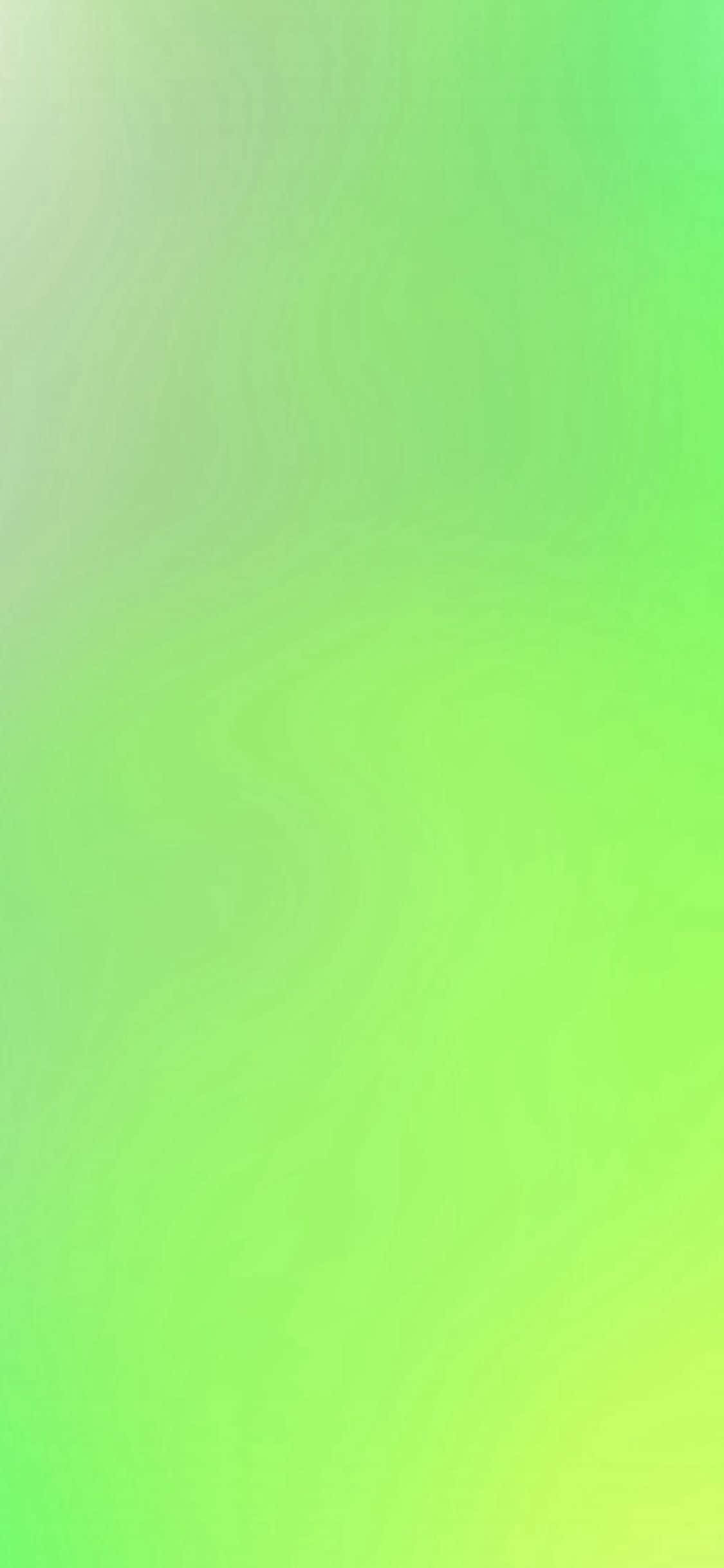 iPhone 11, green, soft green, Full HD Phone Wallpaper