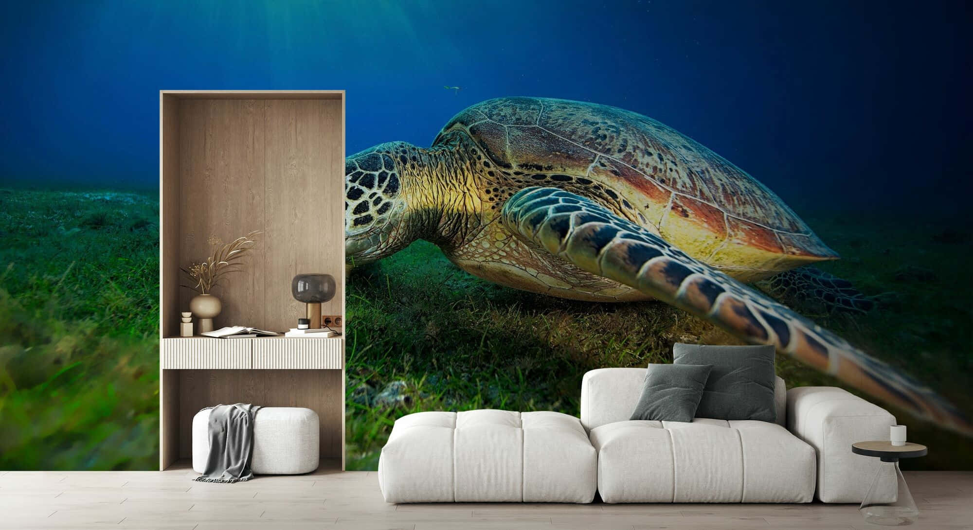 Green Sea Turtle, living room mural, deep blue ocean water, Full HD Desktop Wallpaper