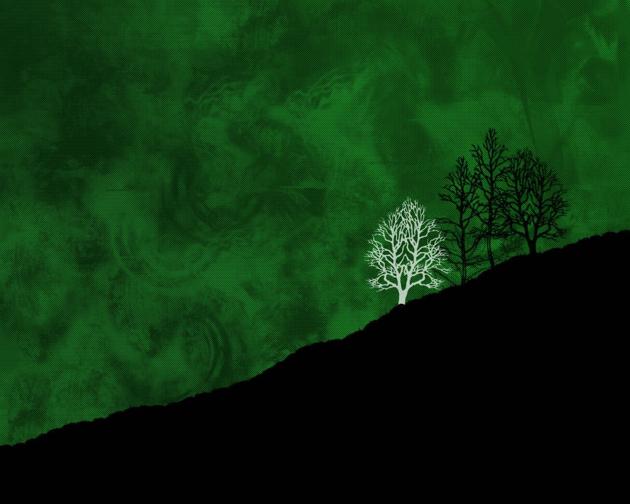 deep green textured sky, stark white tree, black silhouetted trees, HD Desktop Wallpaper