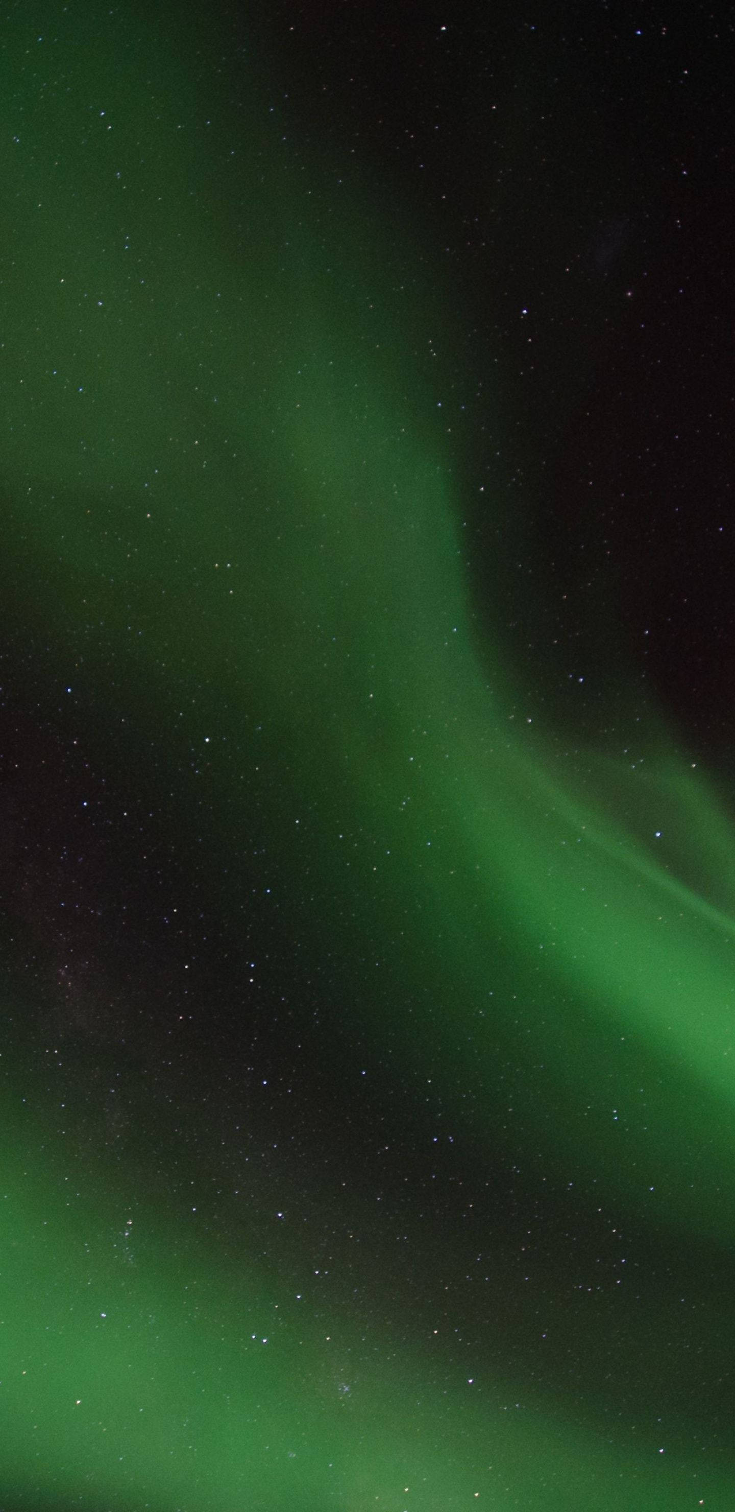 Night Green Sky, vibrant green aurora borealis, starry night sky, 2K Phone Wallpaper