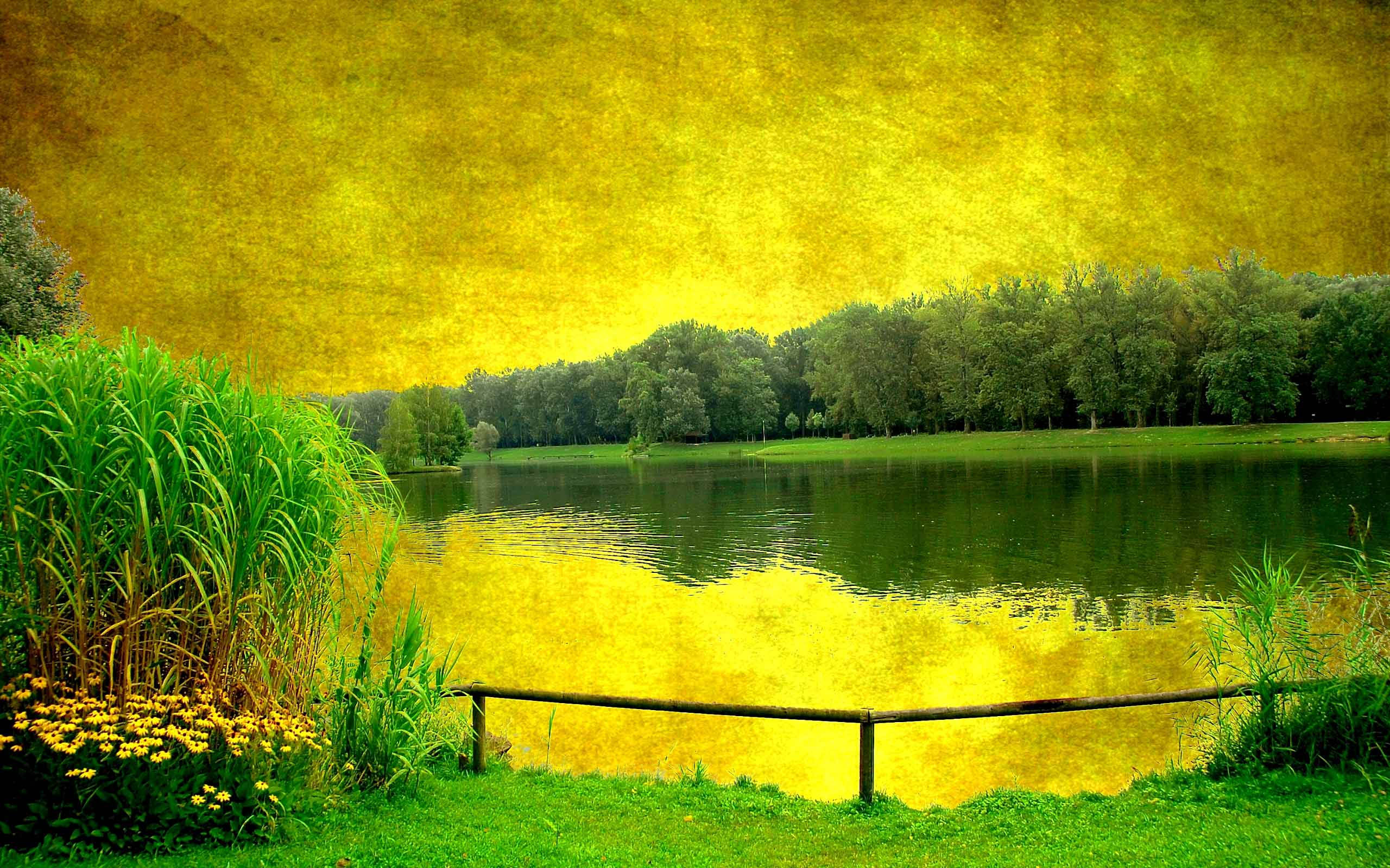 Green Sky, river, lush green reeds, 2K Desktop Wallpaper