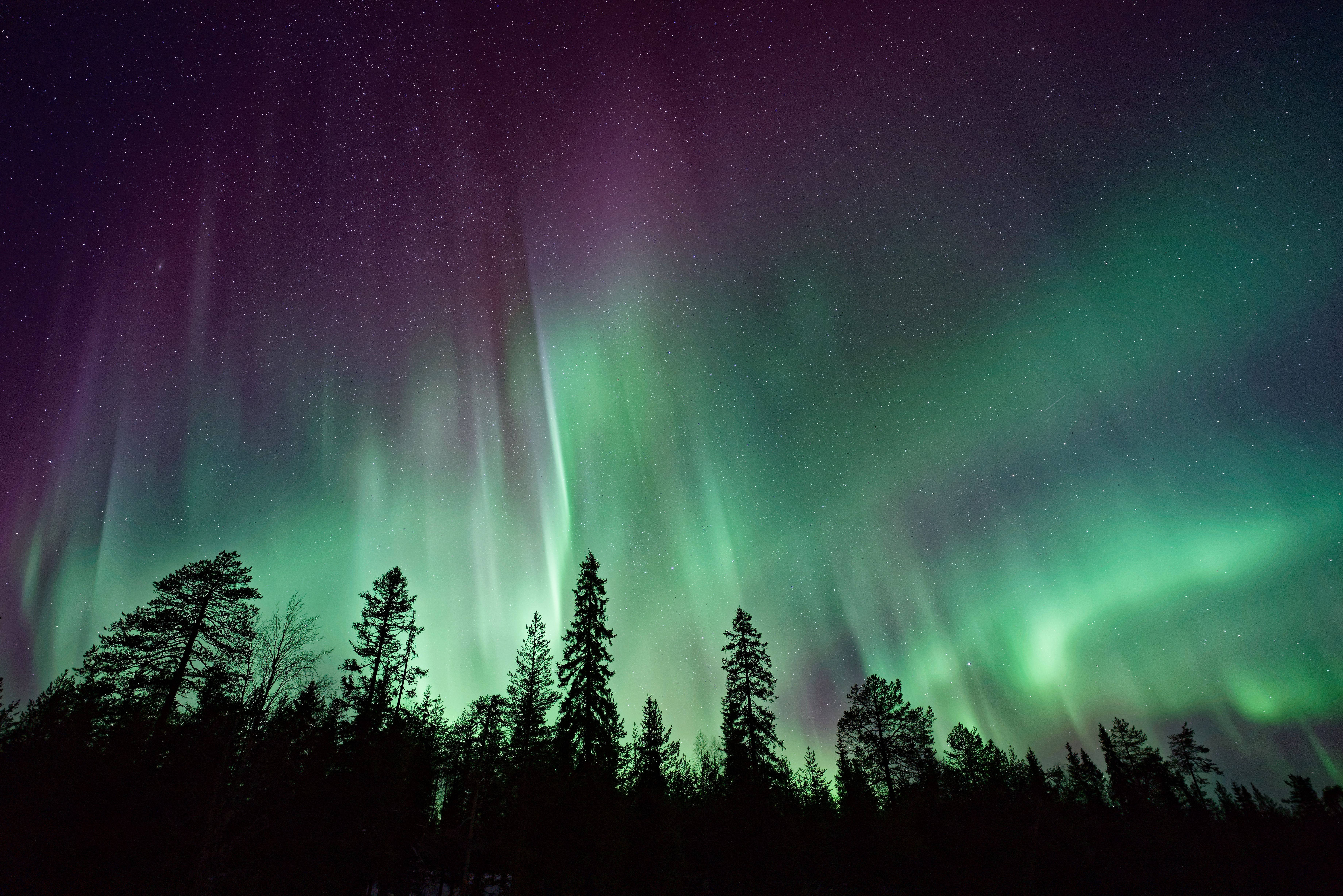 Green Sky, aurora borealis, starry night sky, 5K Desktop Wallpaper