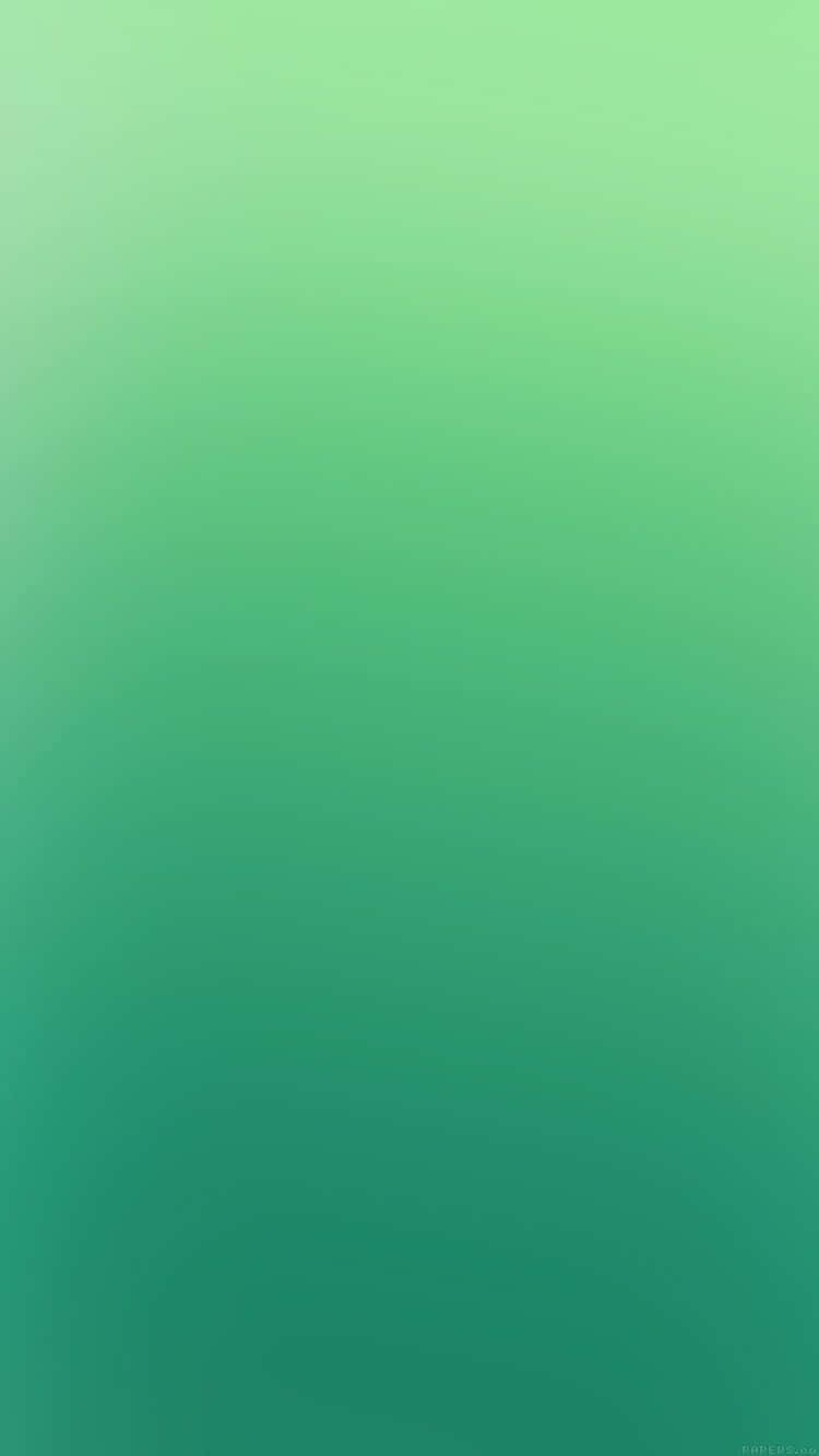 Lime Green Gradient iPhone, soft mint green, deep teal, HD Phone Wallpaper