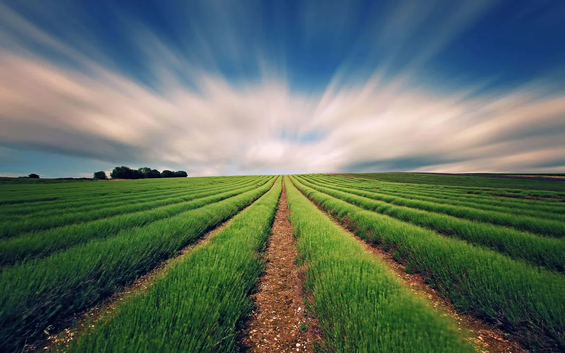 Green Technology