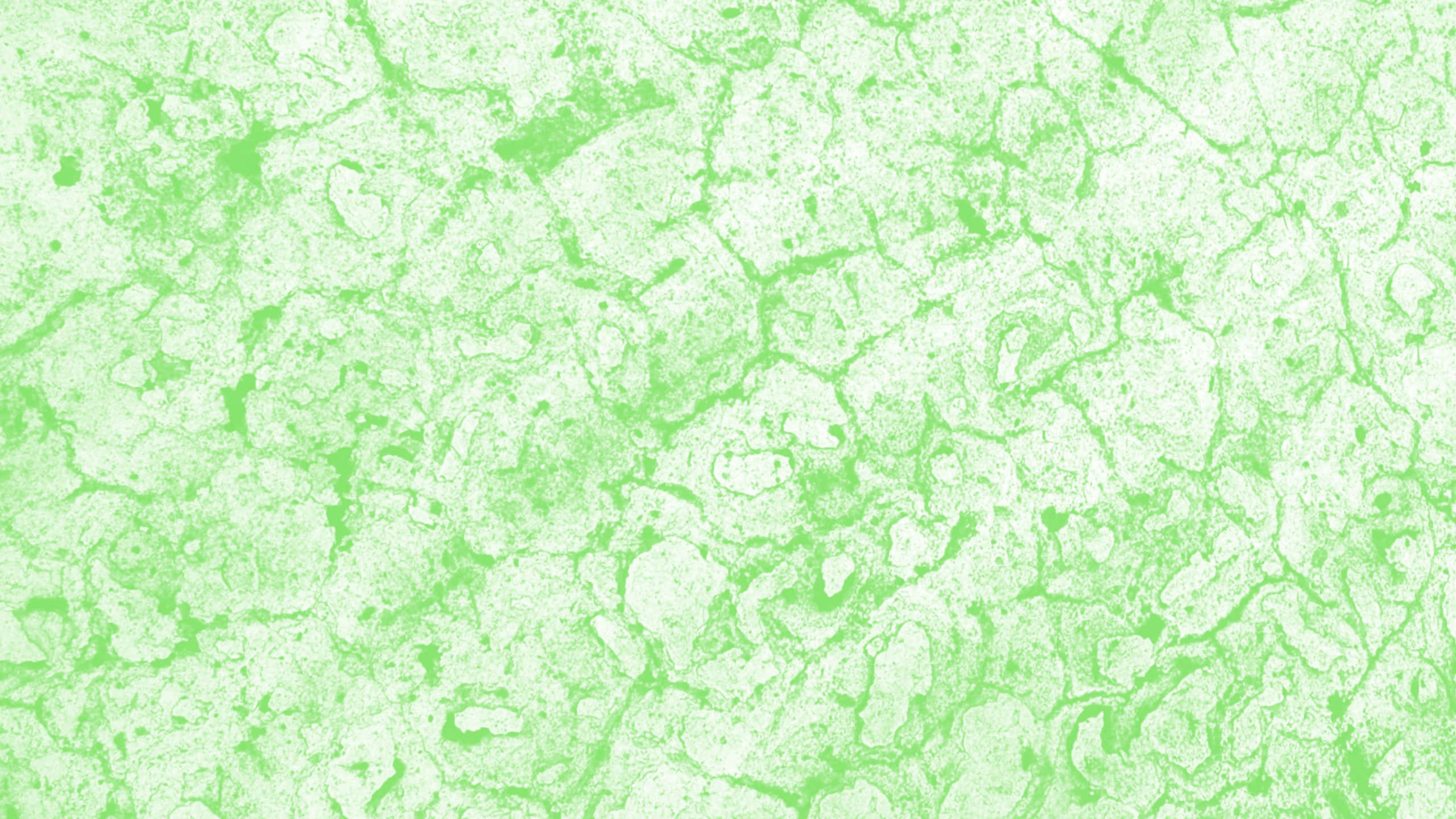 green texture, abstract texture, swirling patterns, 2K Desktop Wallpaper