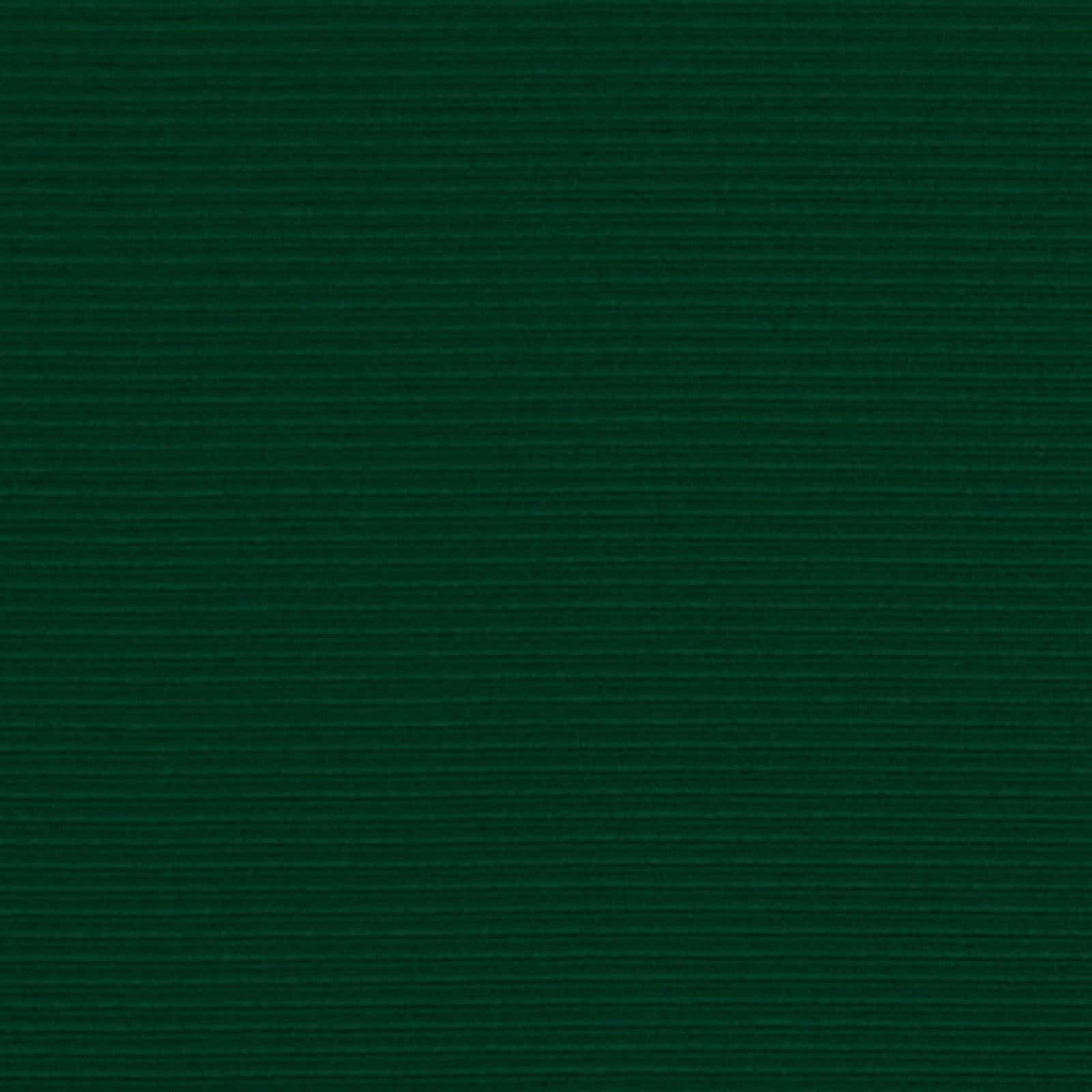 green texture, 1600 x 1600 wallpaper, deep green textured wallpaper, HD Desktop Wallpaper