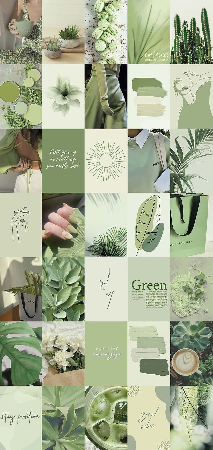 soft green aesthetic, pastel tones, plants, HD Phone Wallpaper