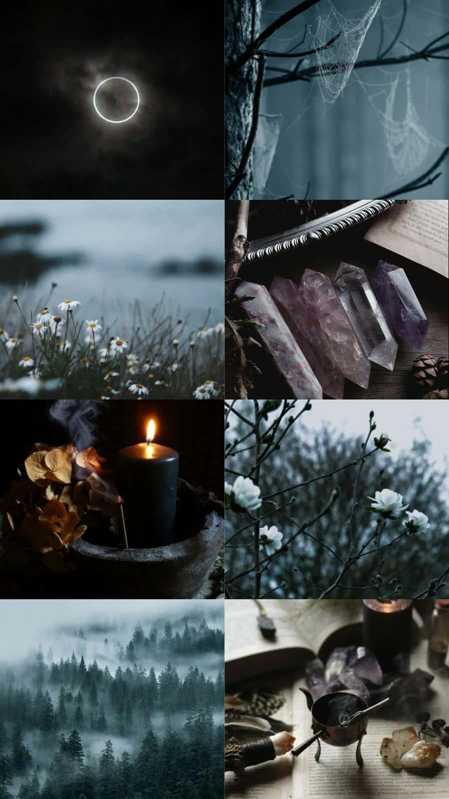 Witch Aesthetic, solar eclipse, misty forests, HD Phone Wallpaper
