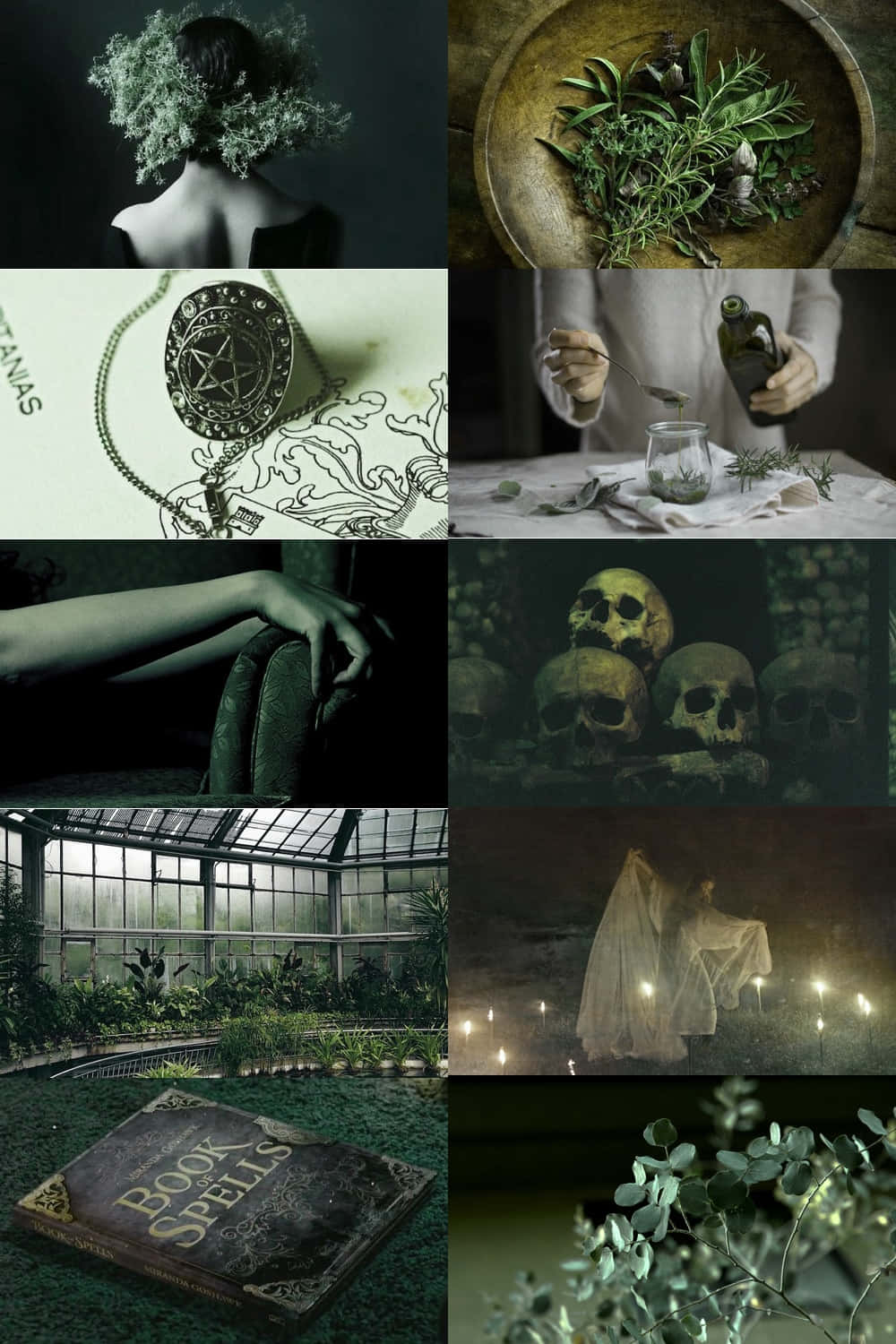 Green Witch Aesthetic, skulls, herbs, HD Phone Wallpaper