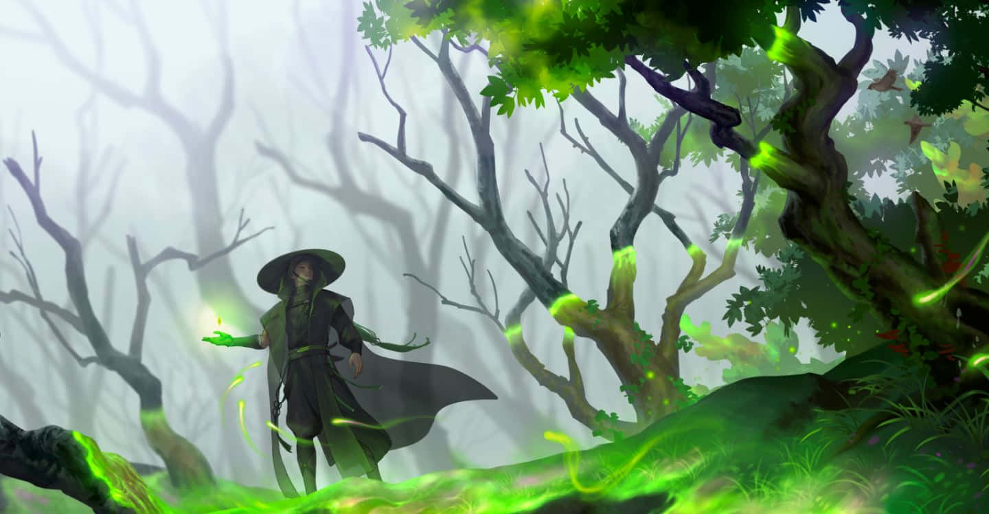 Green Witch, enchanted forest, misty forest, HD Desktop Wallpaper