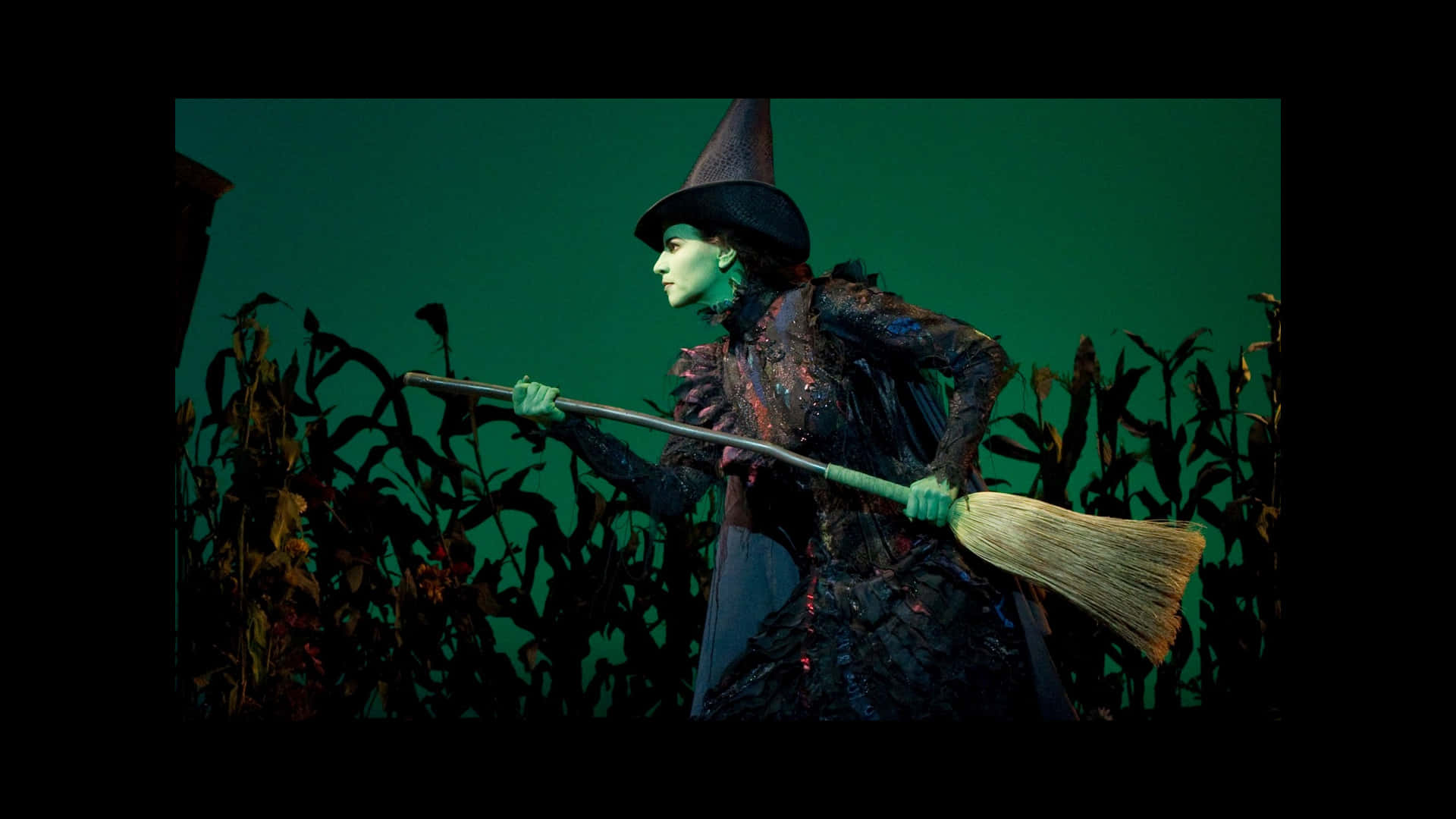 Green Witch, pointed hat, broomstick, Full HD Desktop Wallpaper