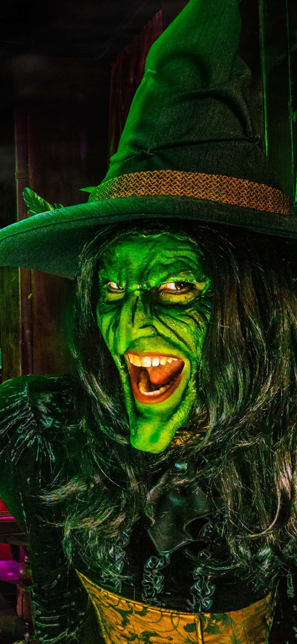 Green Witch, green-skinned, wide menacing grin, Full HD Phone Wallpaper