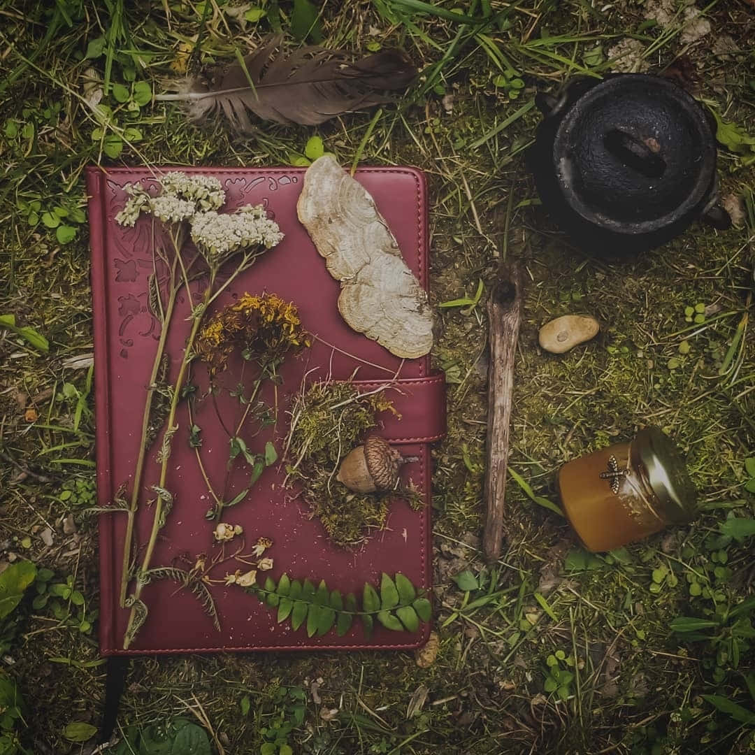 Green Witch Aesthetic, nature altar, burgundy leather journal, SD Desktop Wallpaper