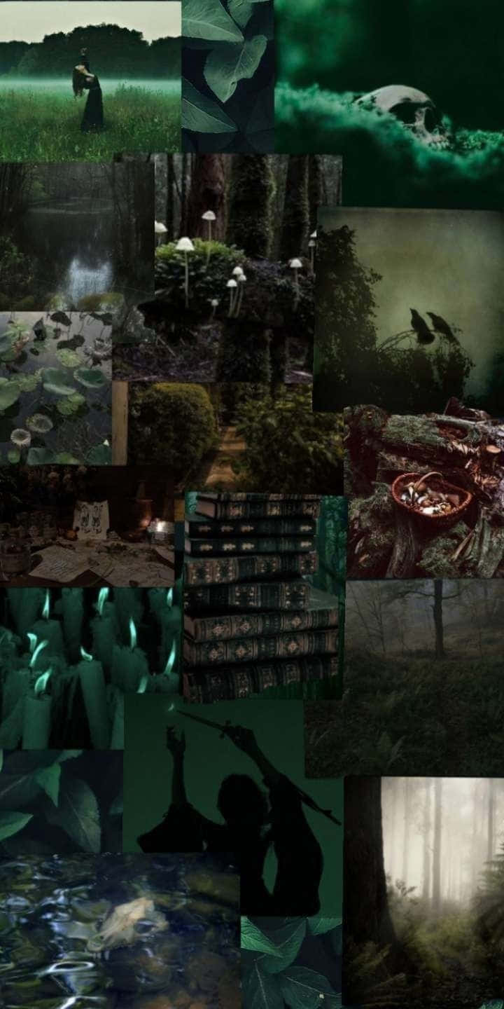 Green Witch, forest scenes, skulls, HD Phone Wallpaper