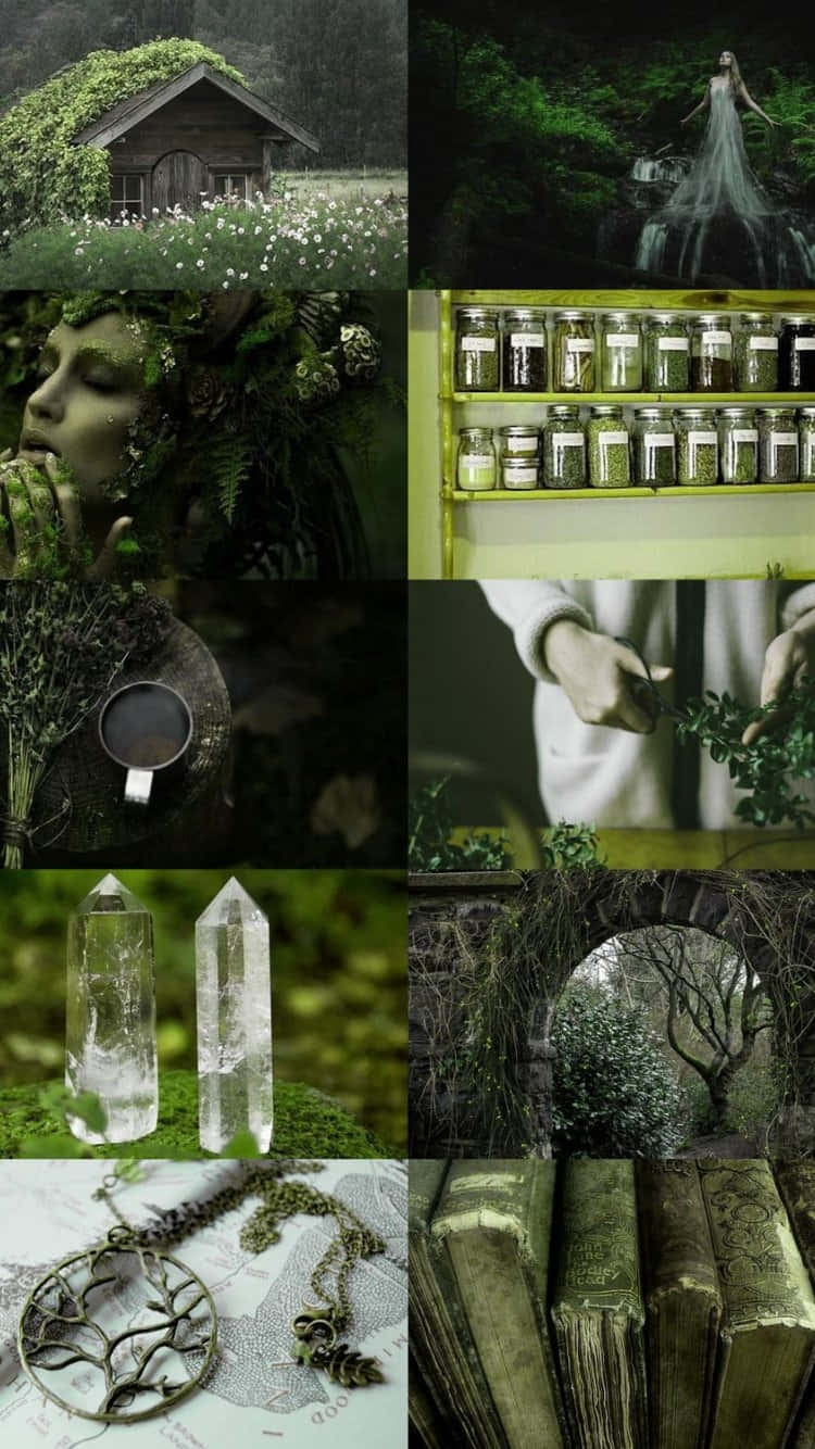 Enchanted Green Witch Collage, green-toned, forest cabin, HD Phone Wallpaper