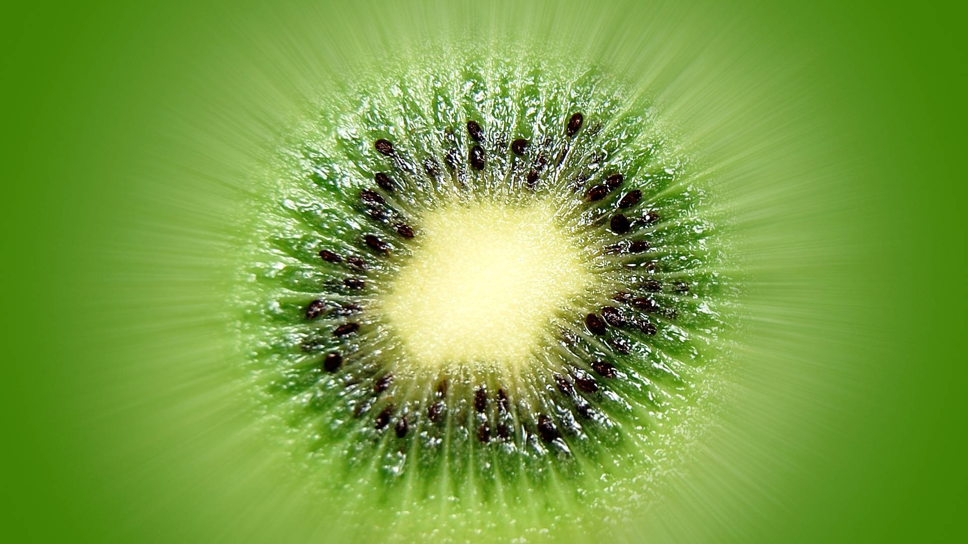 kiwi fruit, green hues, black seeds, Full HD Desktop Wallpaper