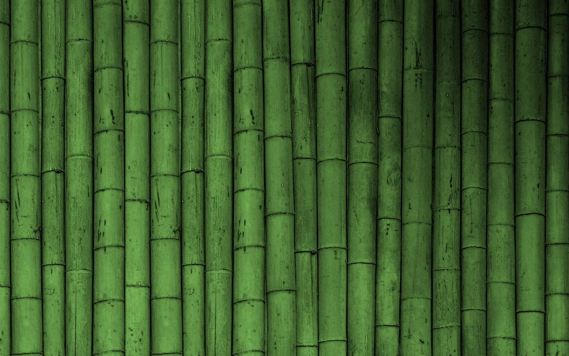 green bamboo fence, vertical green bamboo stalks, textured natural wall, Full HD Desktop Wallpaper