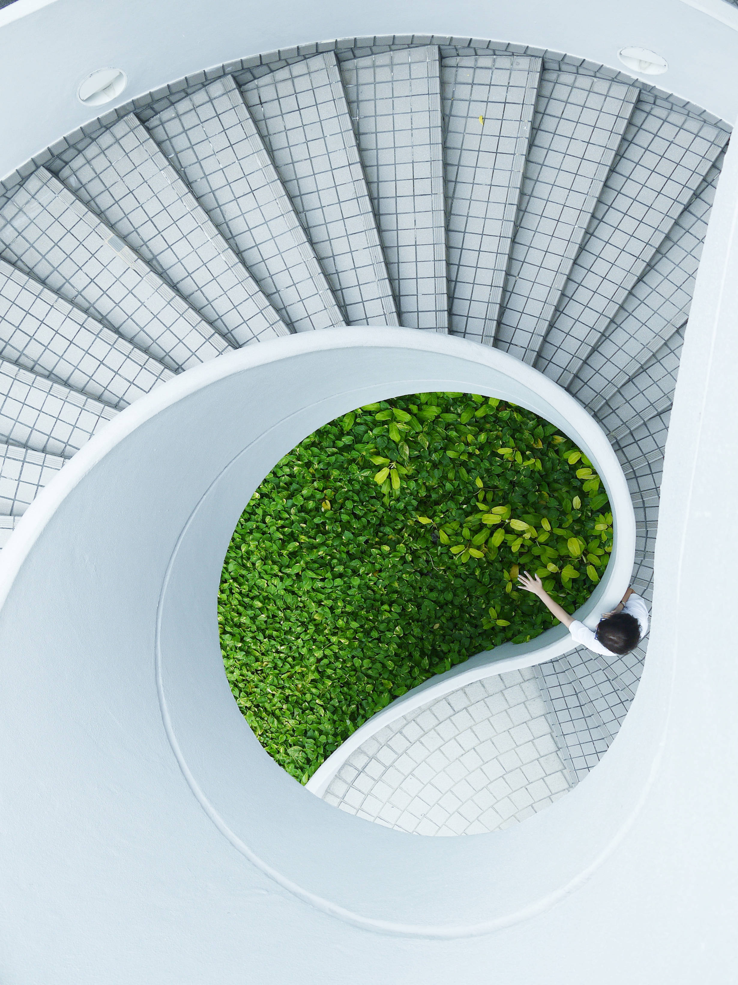 modern white spiral staircase, lush green foliage, viewed from above, 2K Phone Wallpaper