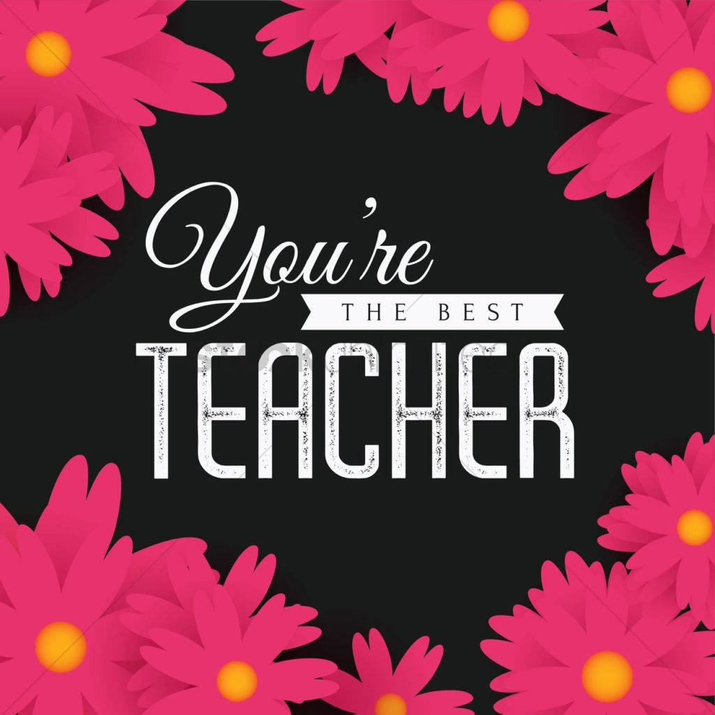 Happy Teachers' Day, pink daisies, white text, SD Desktop Wallpaper
