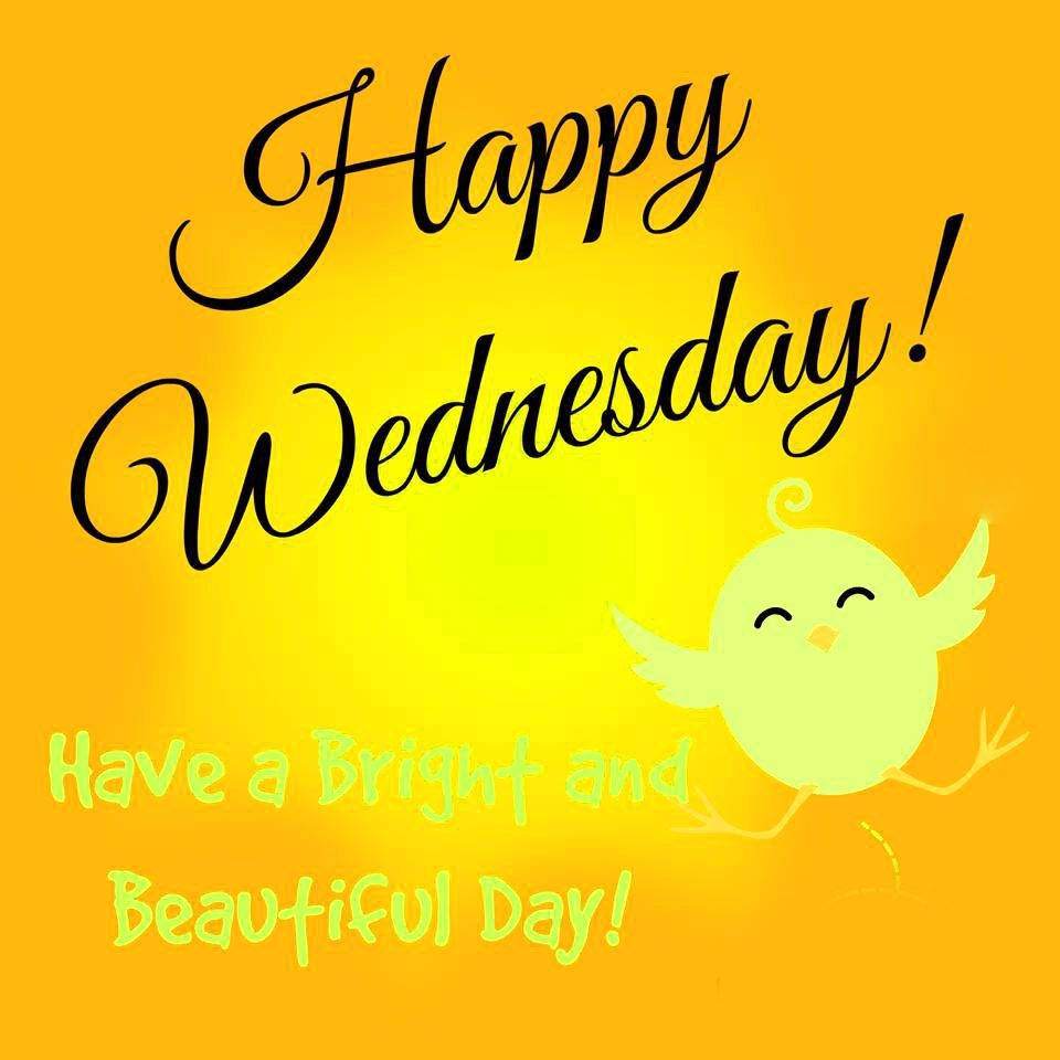Happy Wednesday, yellow bird, black cursive text, SD Desktop Wallpaper