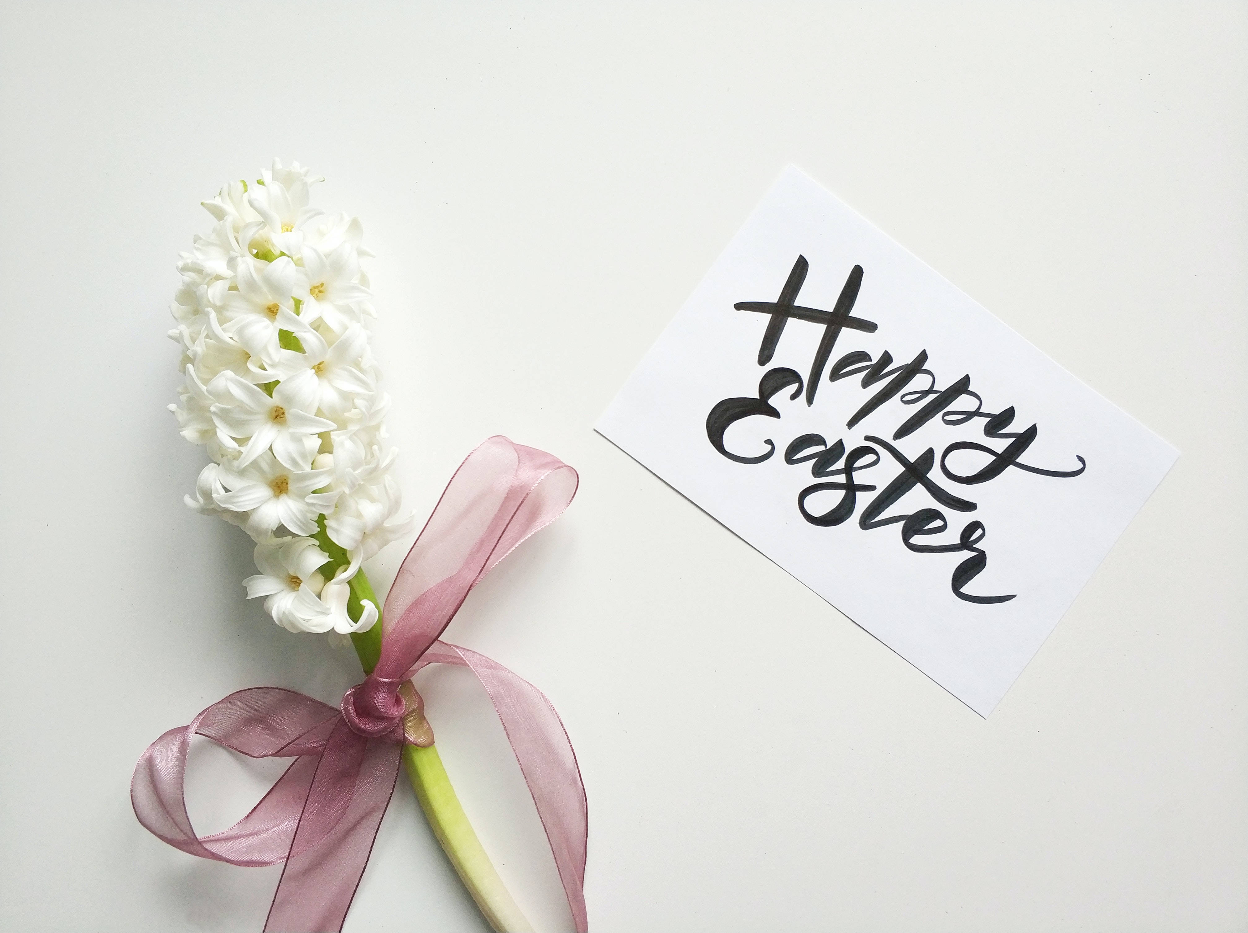 hyacinth, mauve ribbon, Happy Easter, 4K Desktop Wallpaper