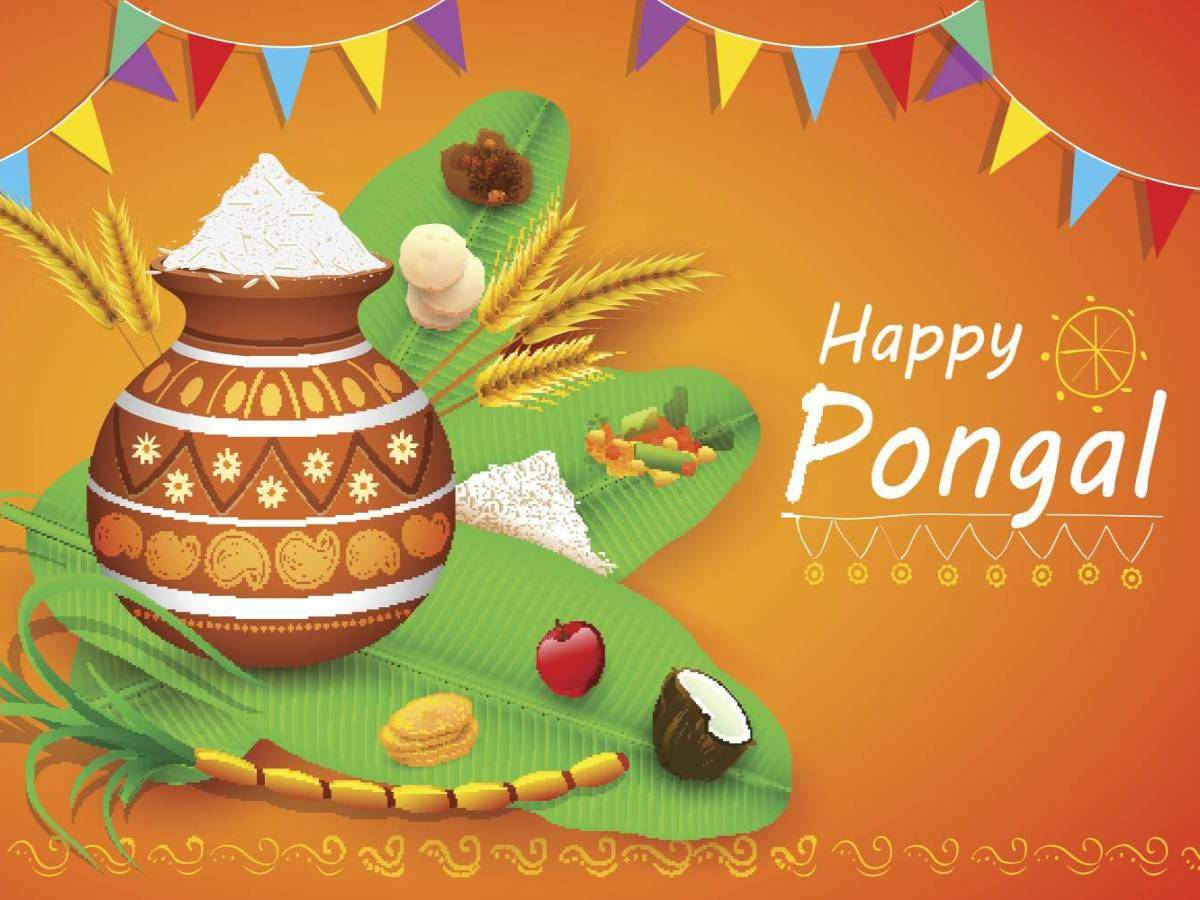Pongal pot, rice, sweets, SD Desktop Wallpaper