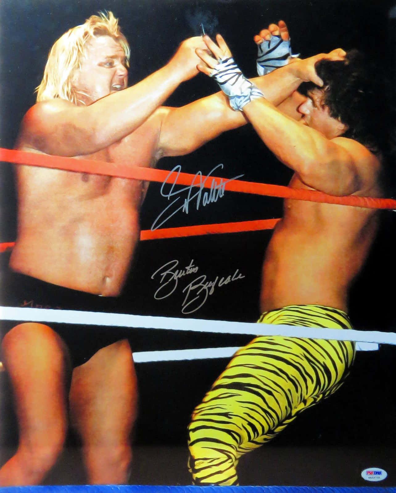 Greg Valentine, Tiger Legging, ring, HD Phone Wallpaper