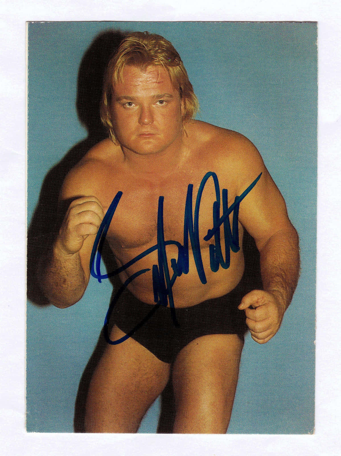 Greg Valentine, black trunks, solid blue studio backdrop, HD Phone Wallpaper